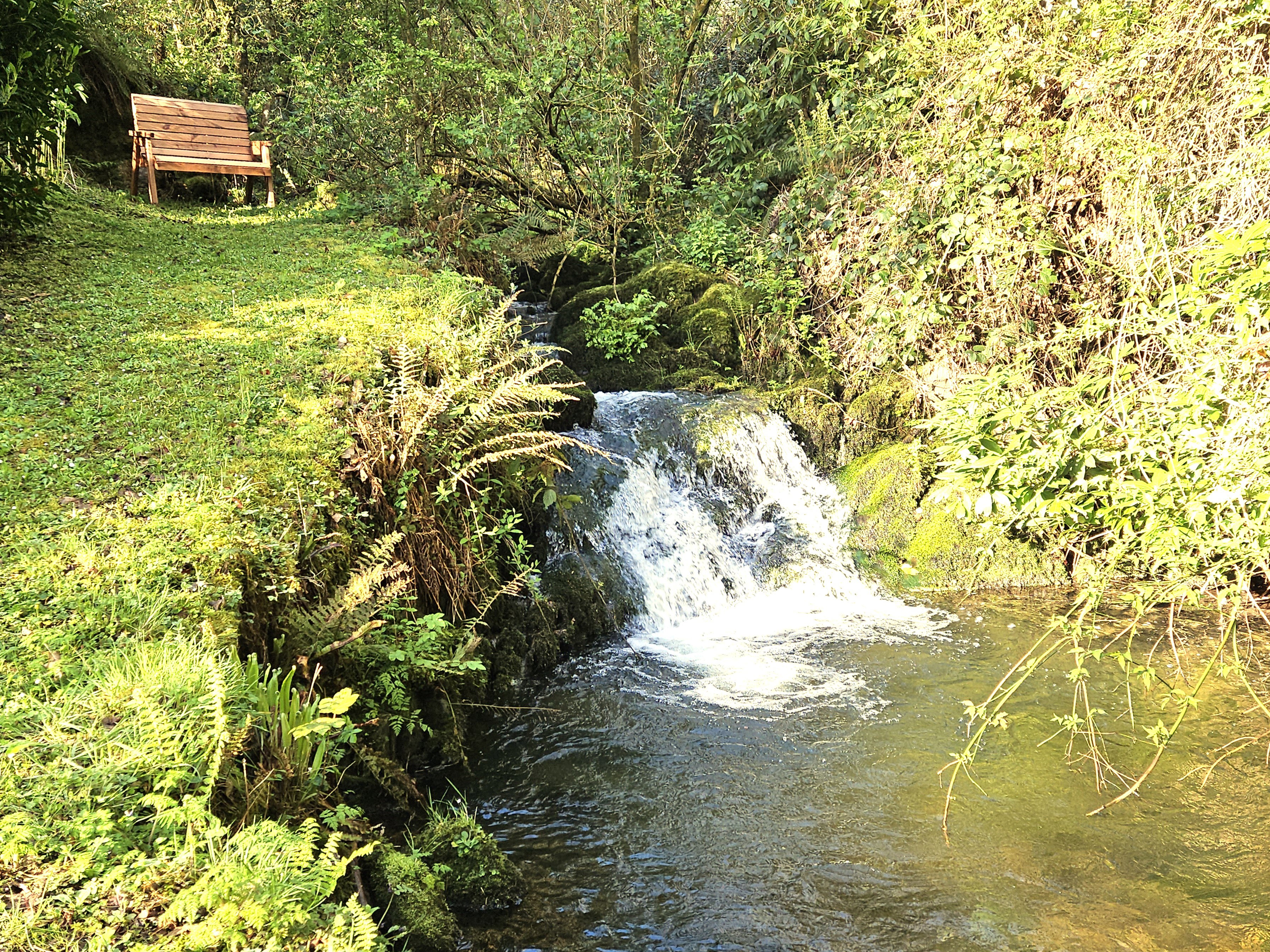 Casa nella natura a Carrick-on-Suir