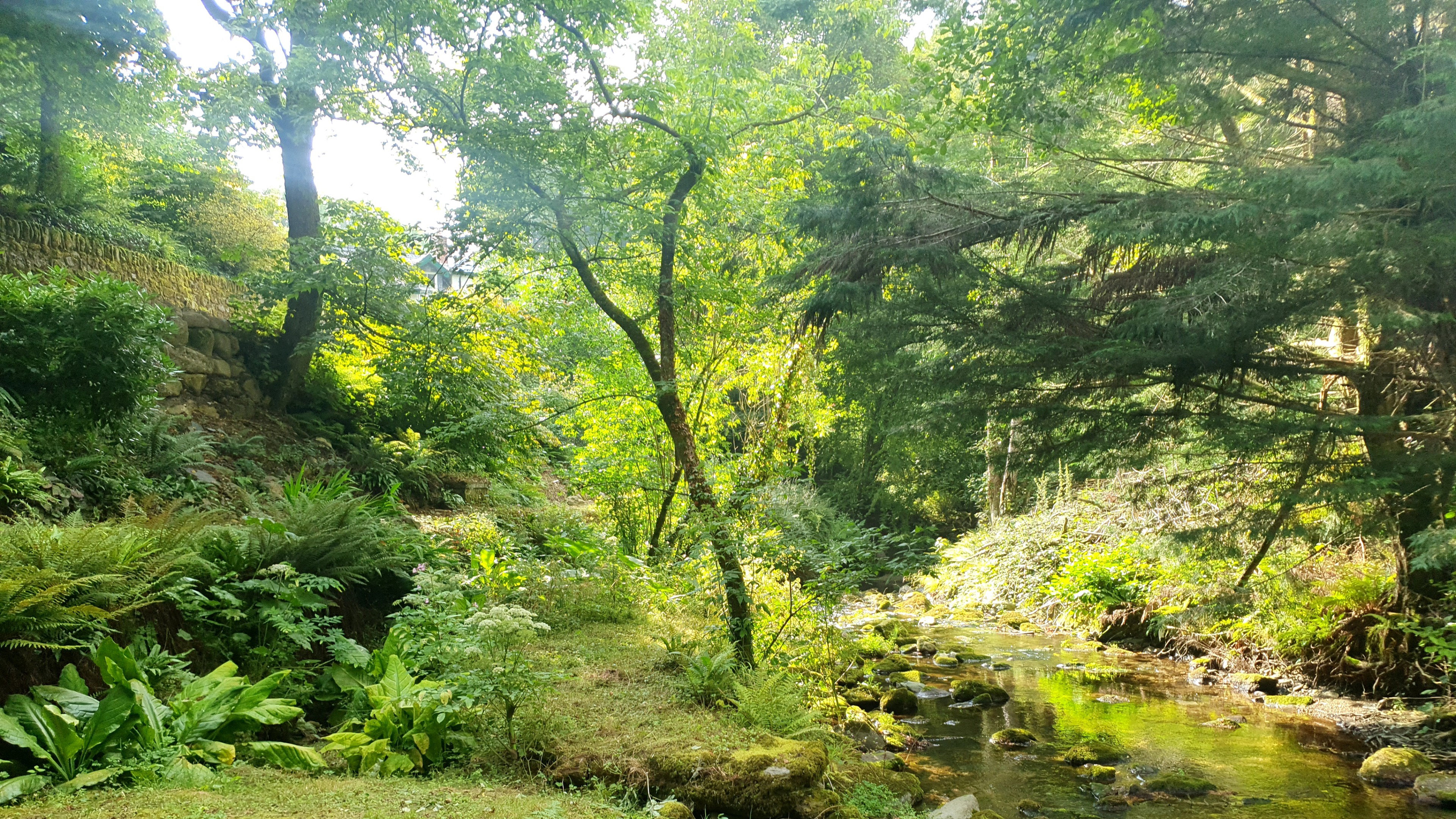 Casa nella natura a Carrick-on-Suir
