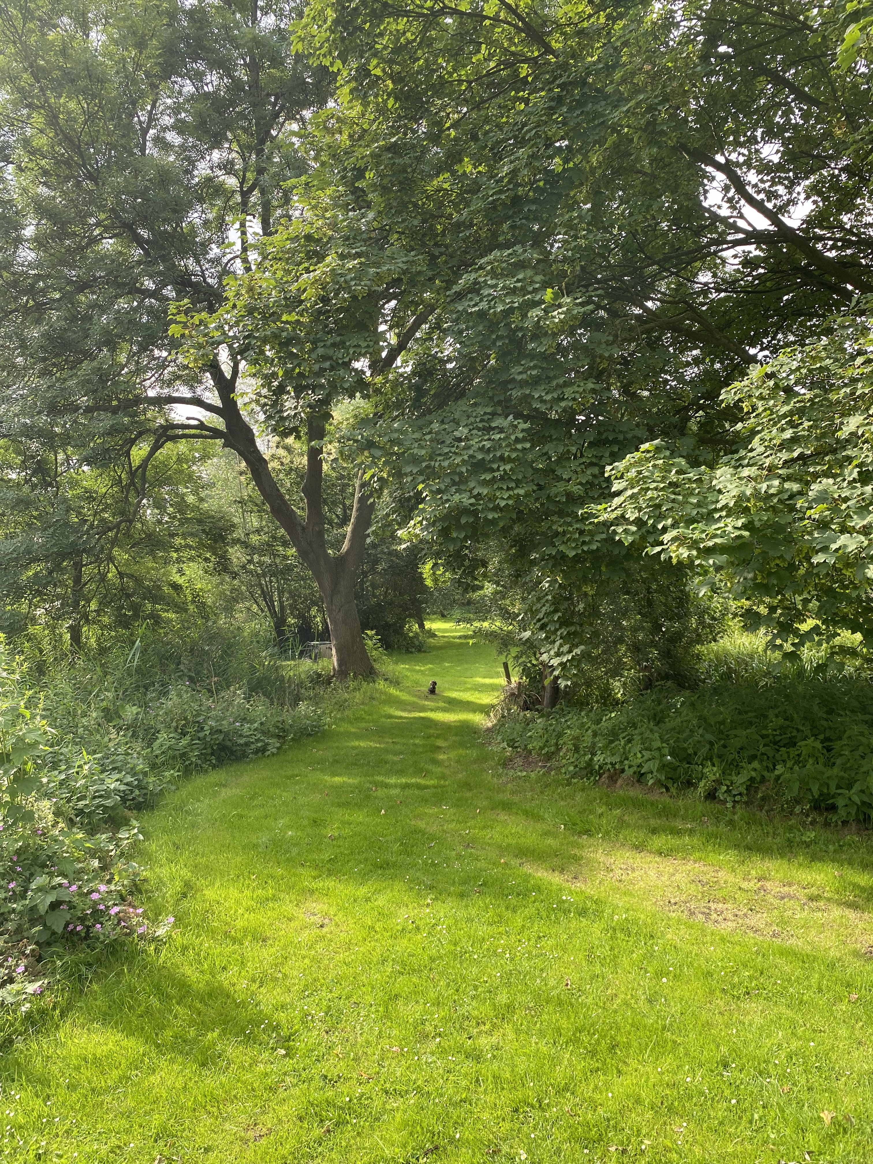 Natuurhuisje in Schipluiden
