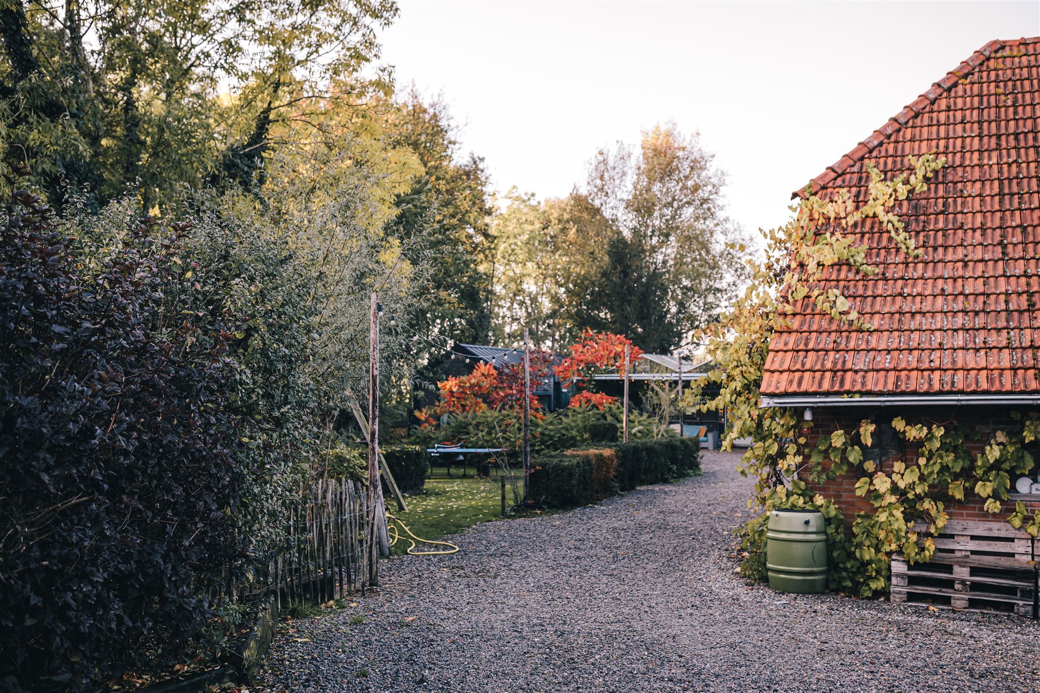 Naturhäuschen in Maasbommel