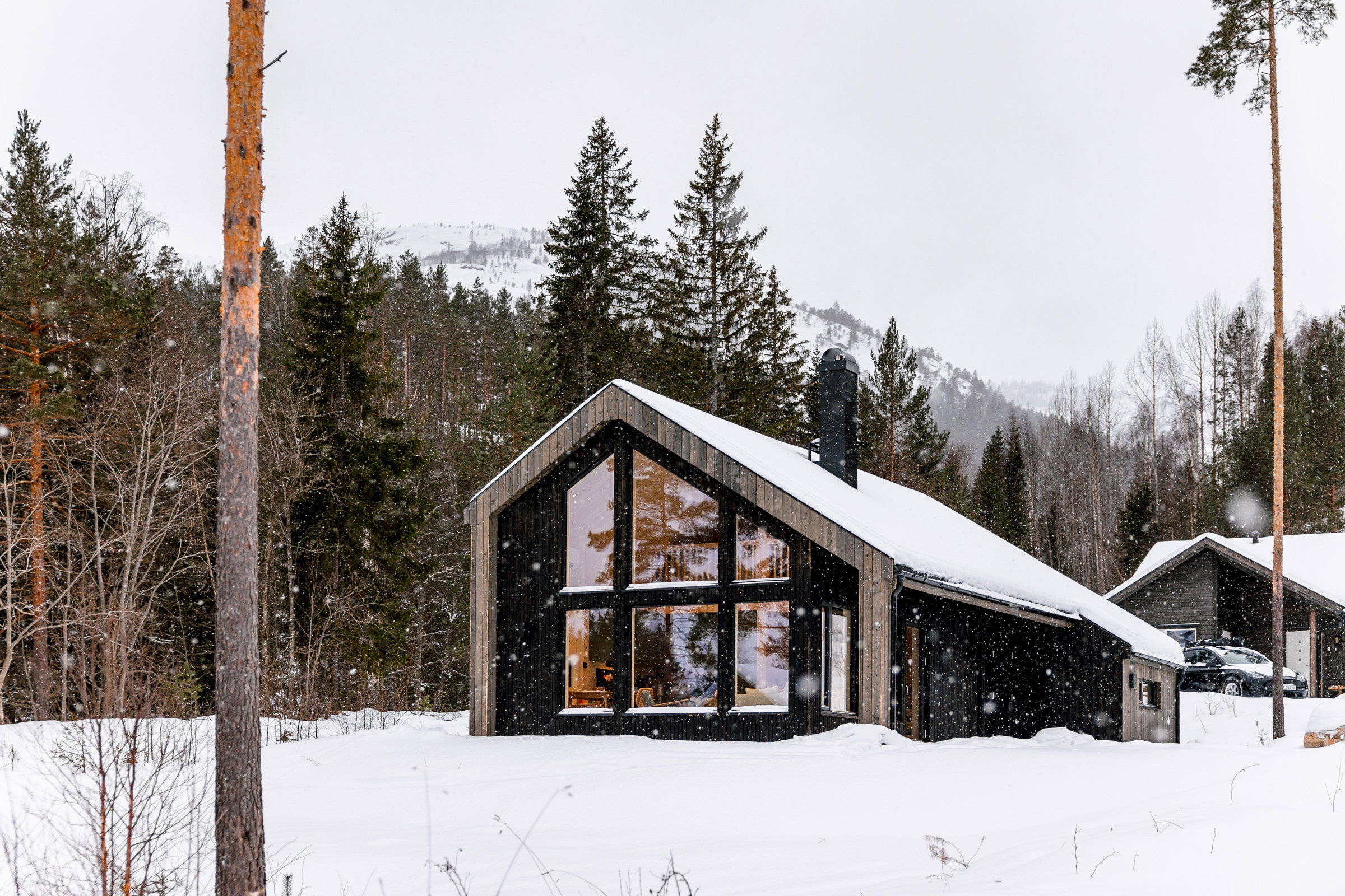 Nature house in Treungen