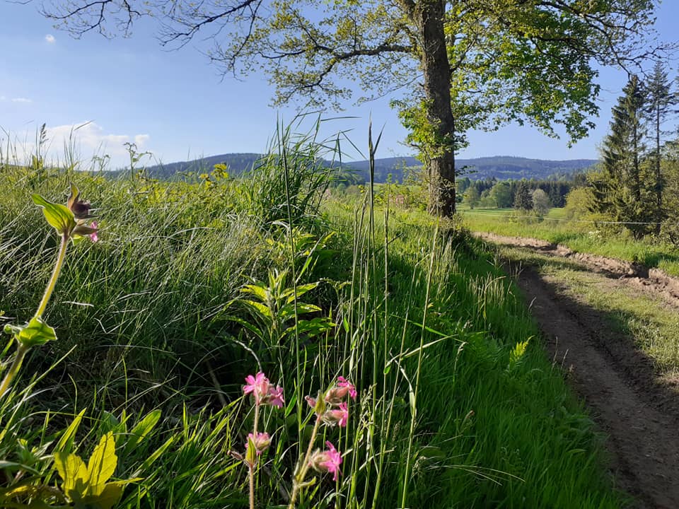 Maison nature à Gerbepal