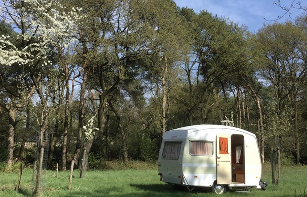 Natuurhuisje in Koningsbosch