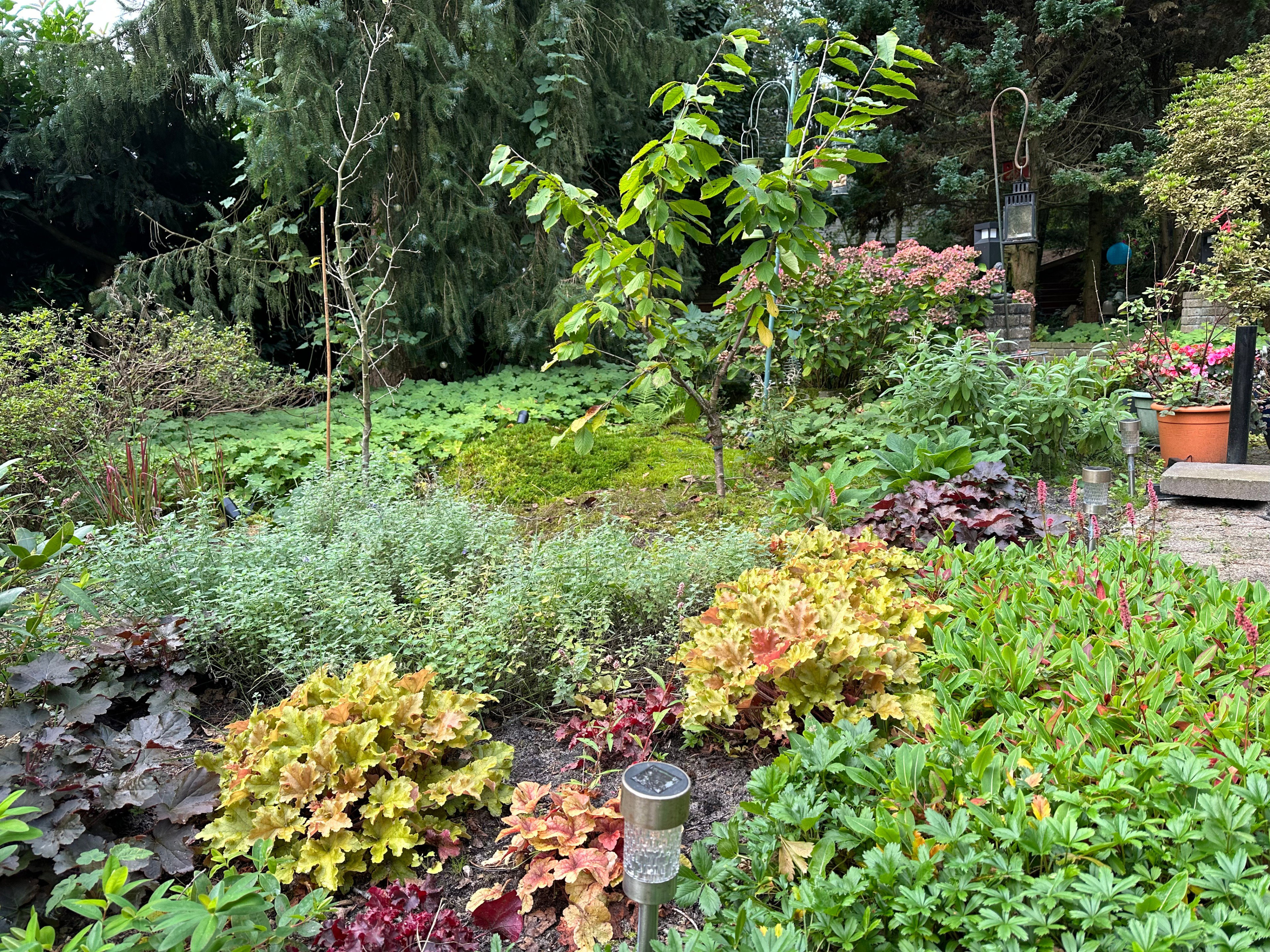 Natuurhuisje in Nieuw Balinge