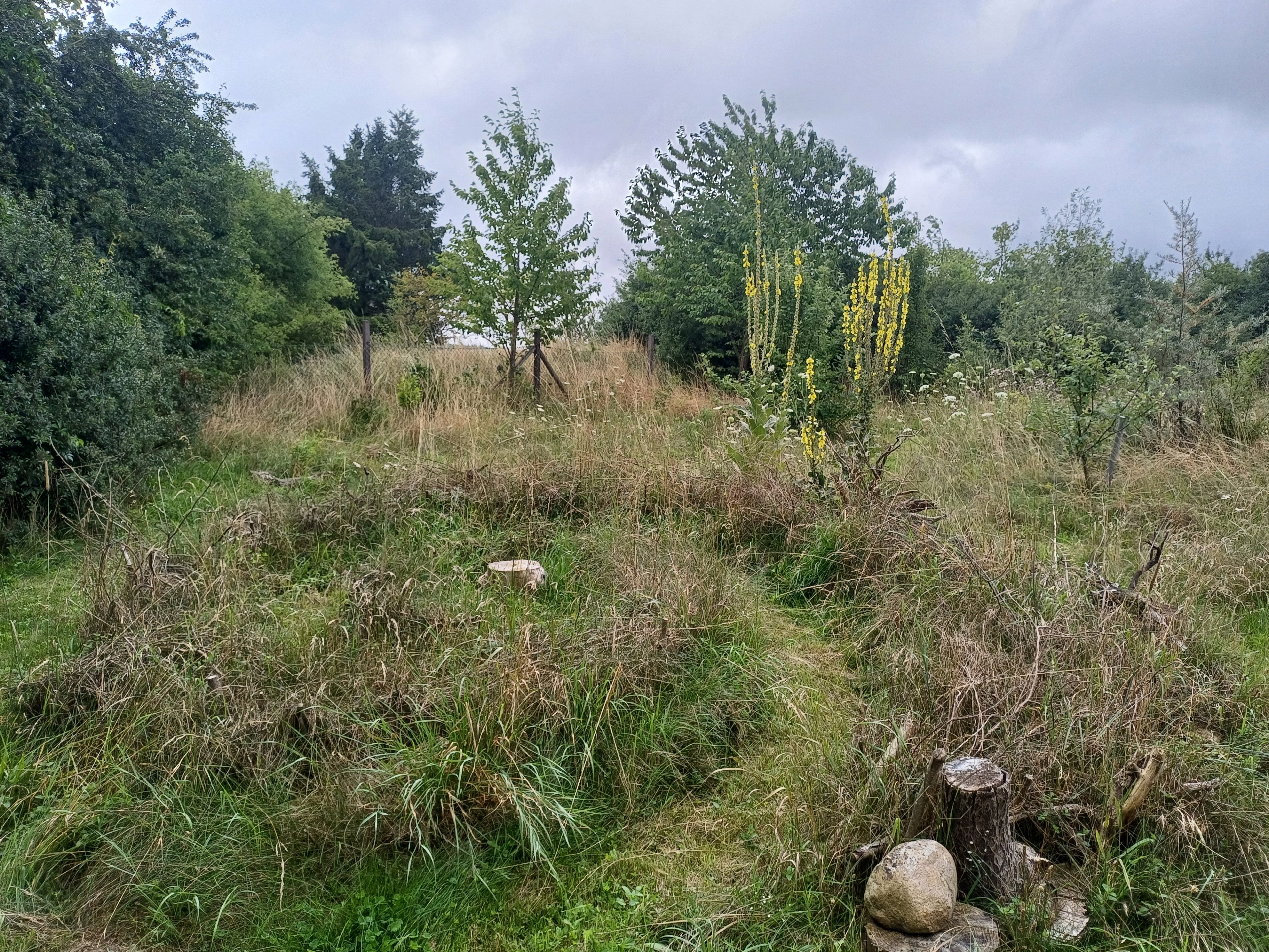 Casa nella natura a Nordwestuckermark