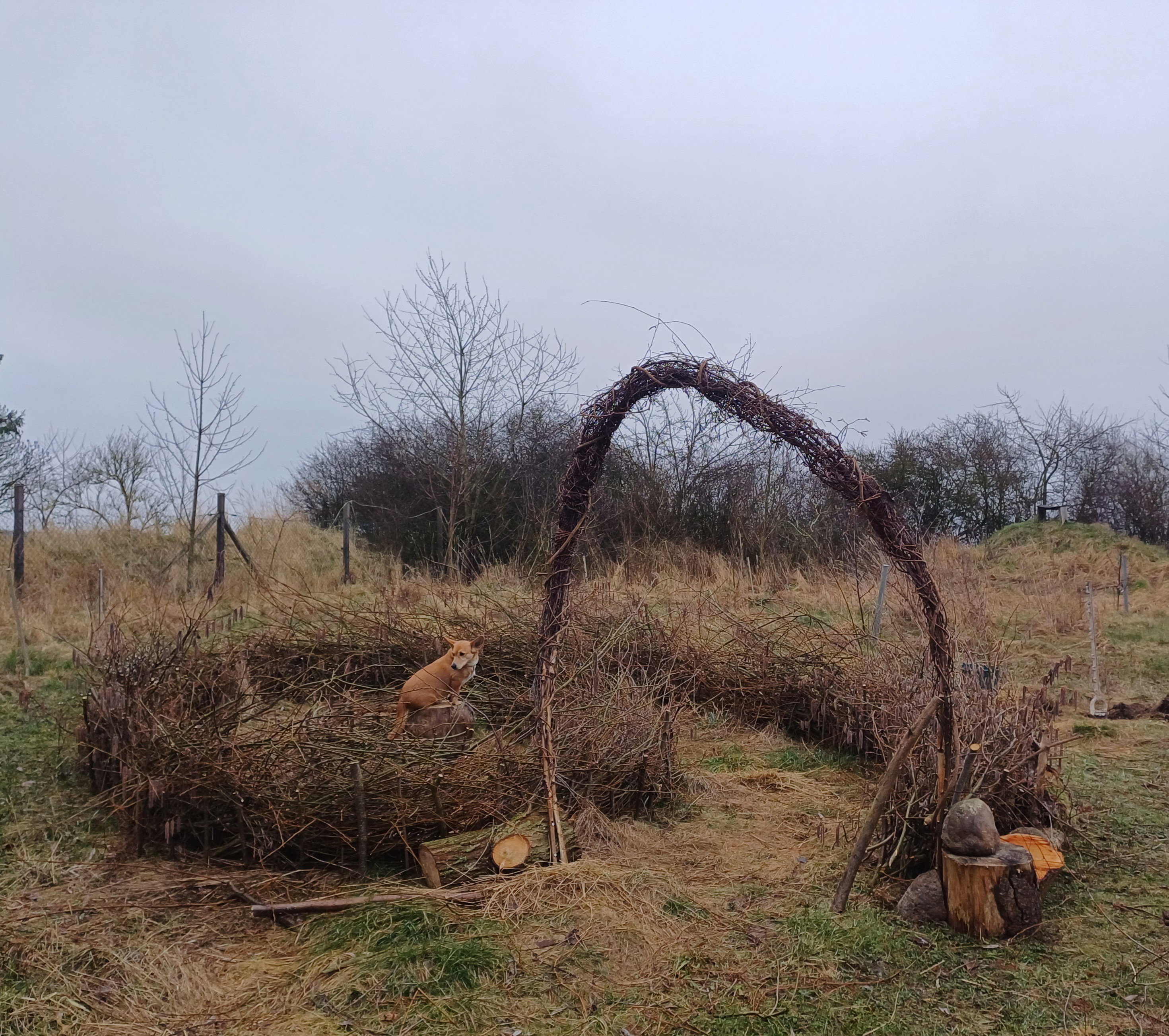 Casa nella natura a Nordwestuckermark
