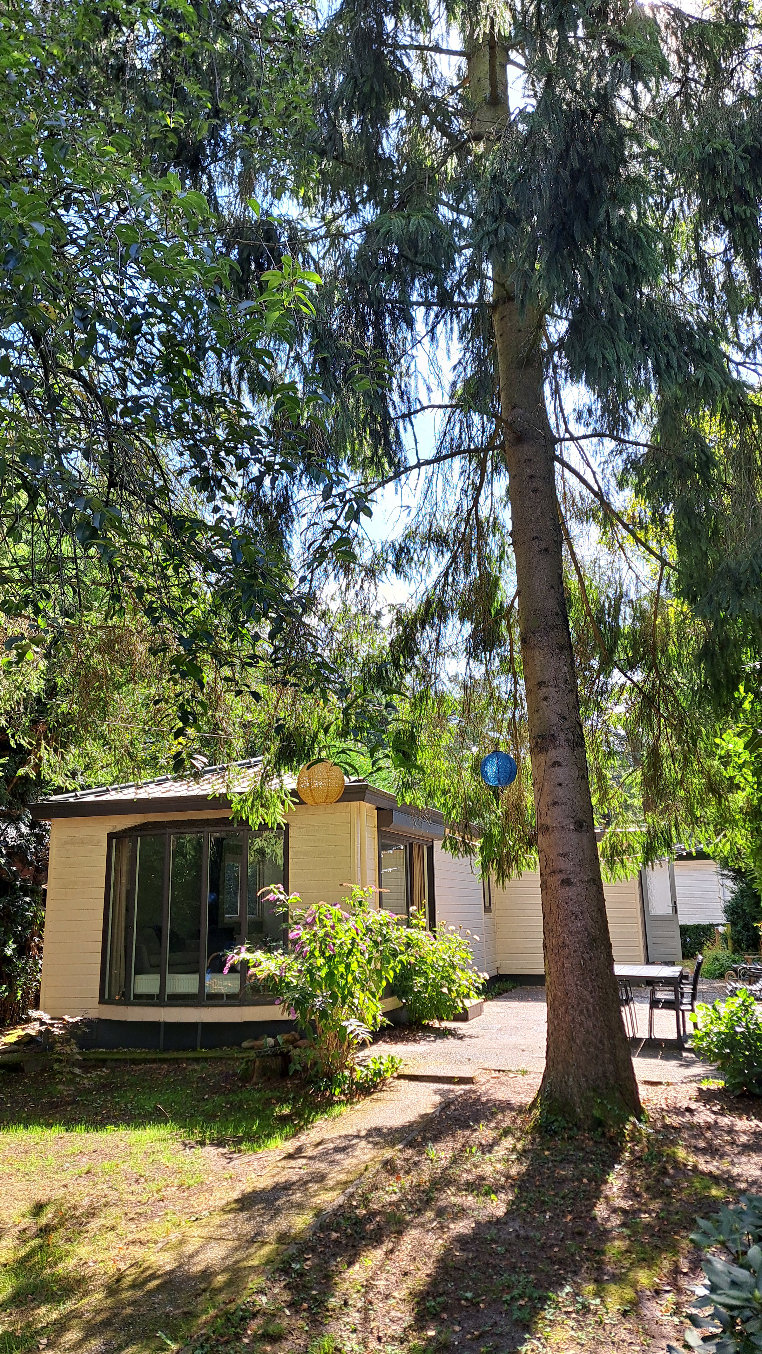 Natuurhuisje in Emst