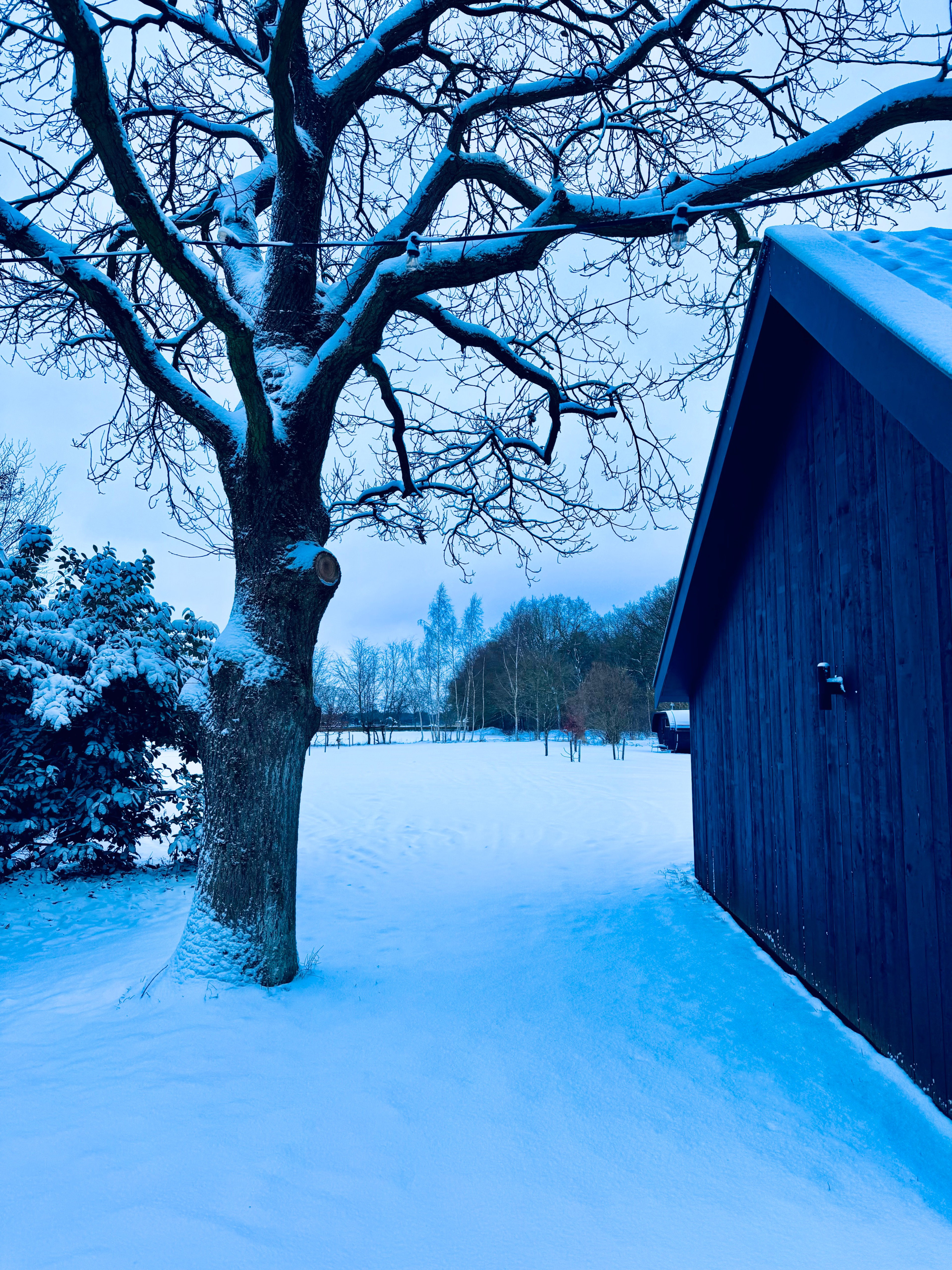 Nature house in Zelhem