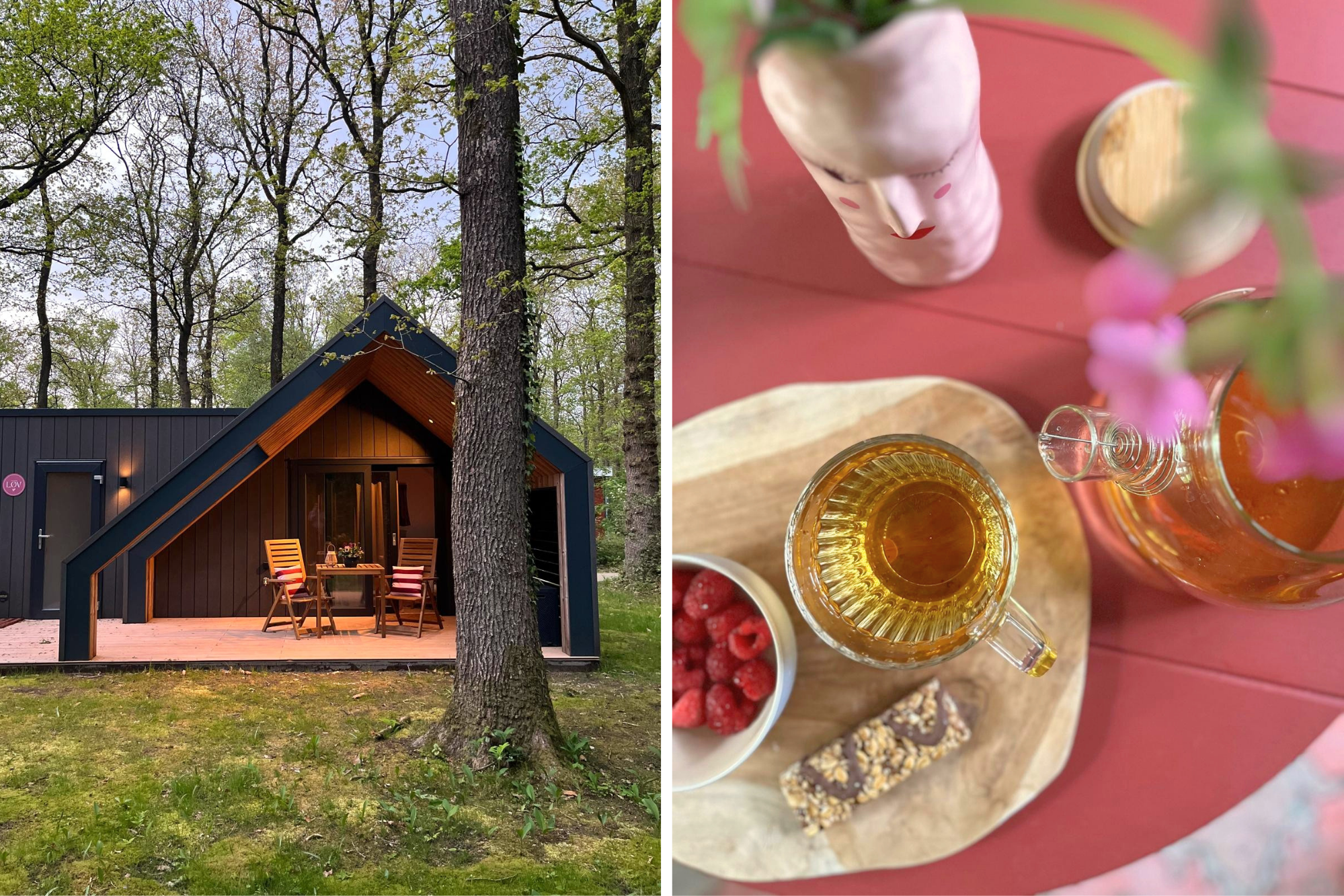 Natuurhuisje in Norg