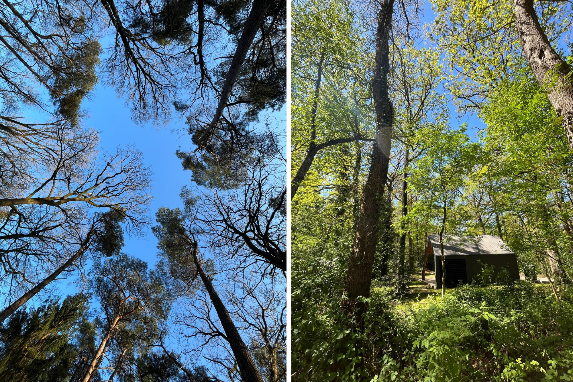 Naturhäuschen in Norg