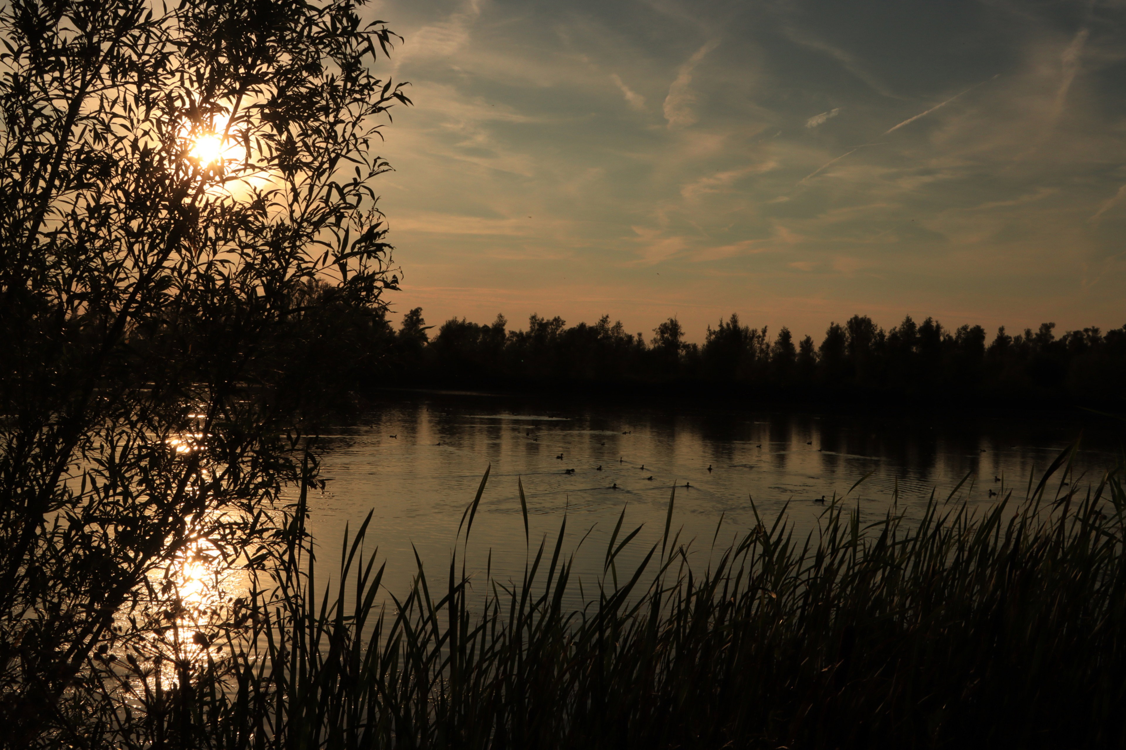 - image: 21