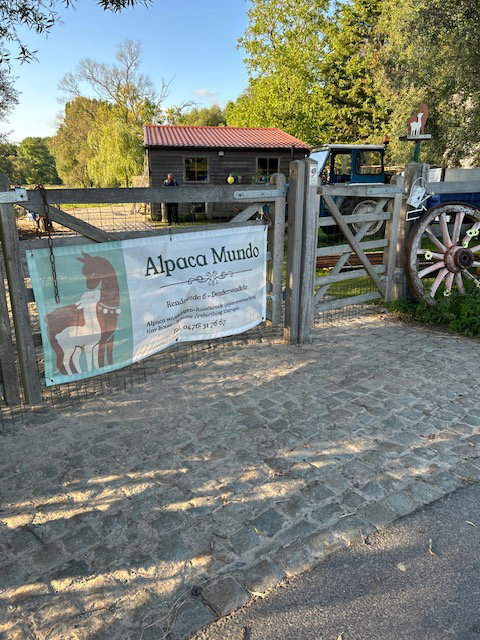 - image: 26