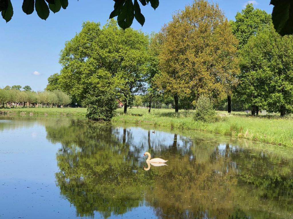 Natuurhuisje in Driebergen