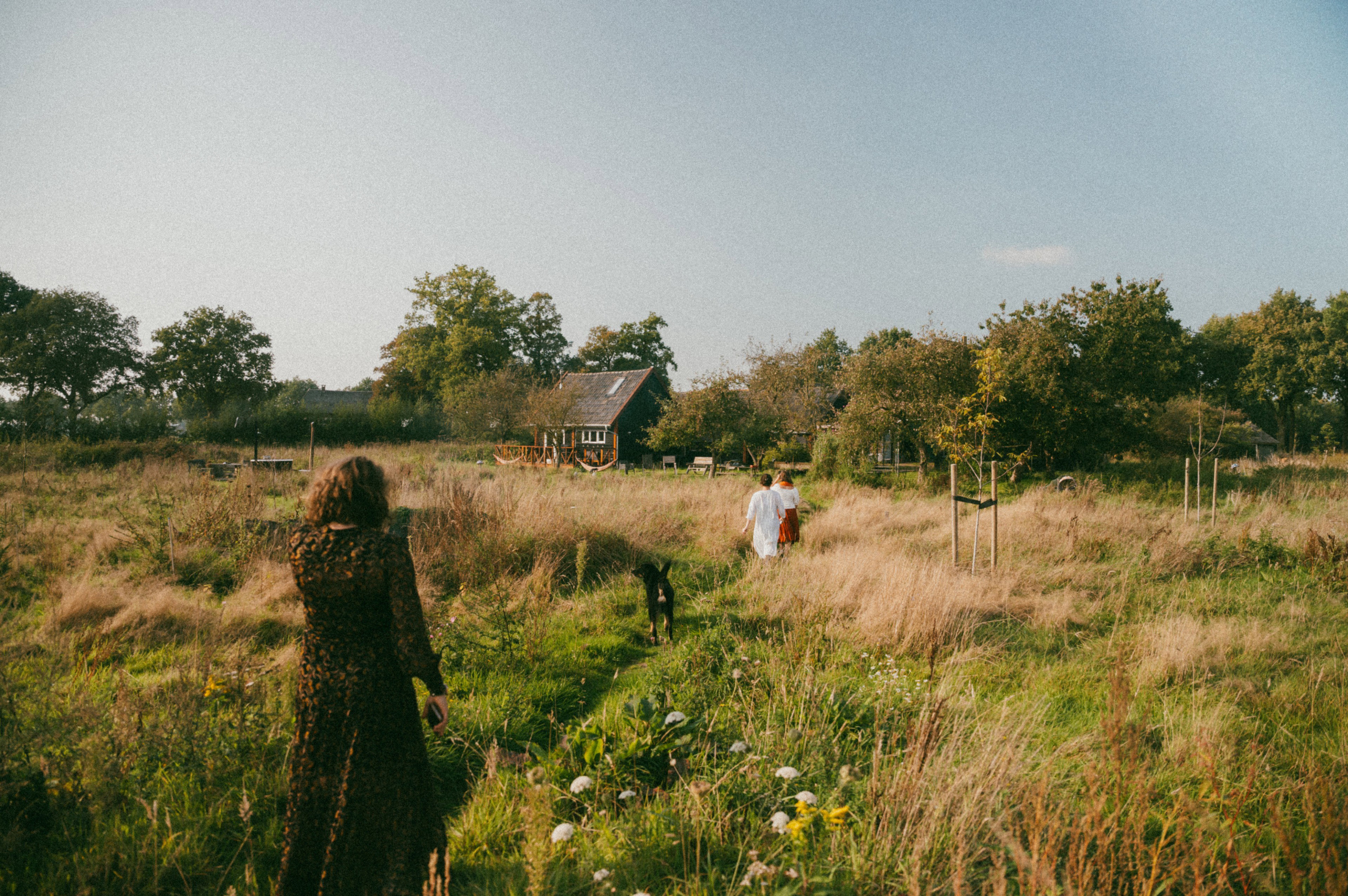 Naturhäuschen in Wijhe