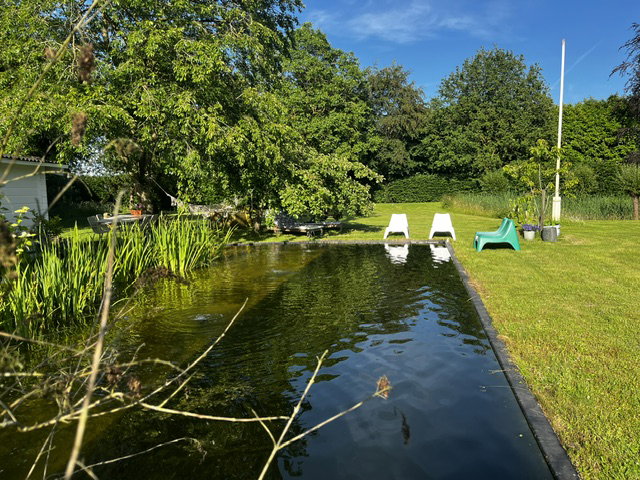 - image: 11