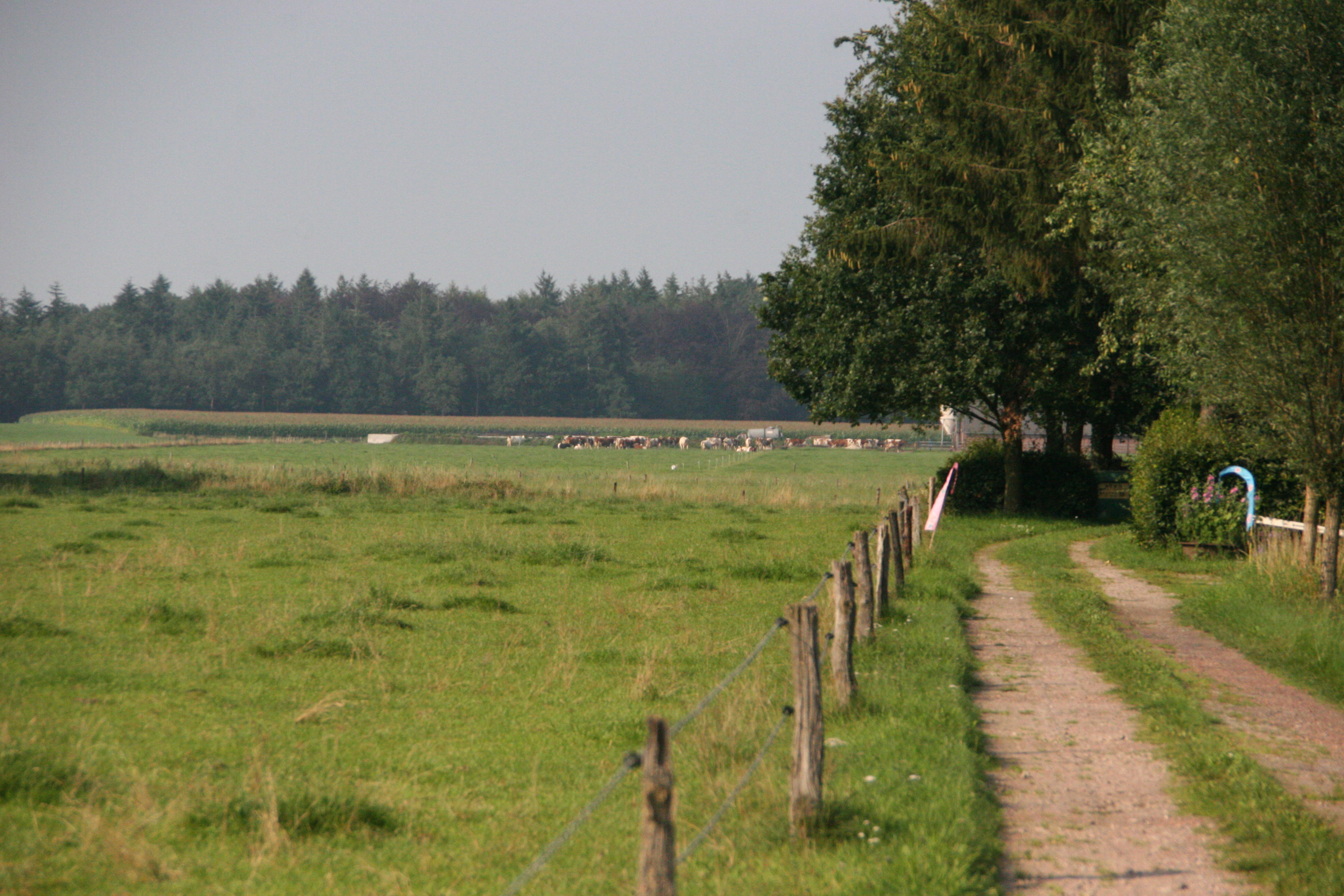 - image: 24