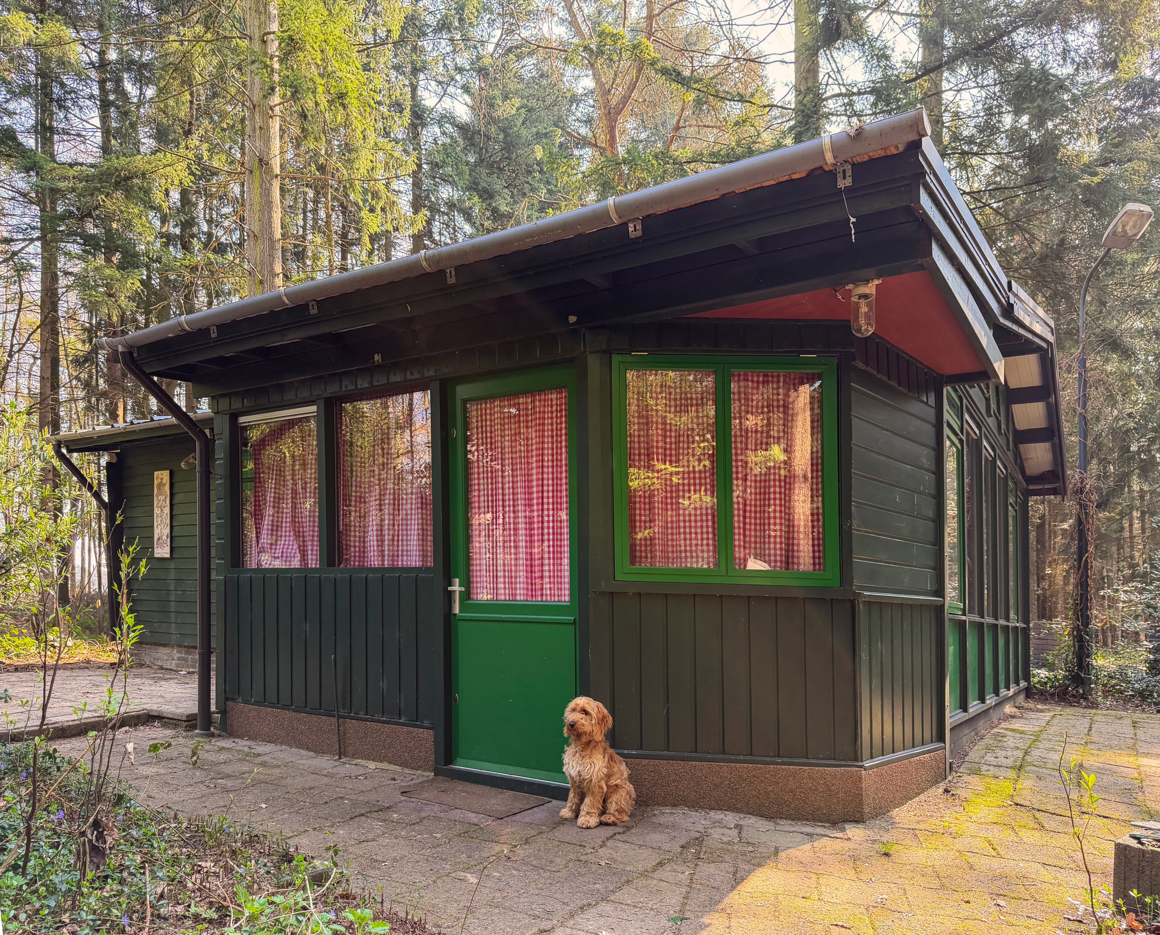 Natuurhuisje in Riethoven