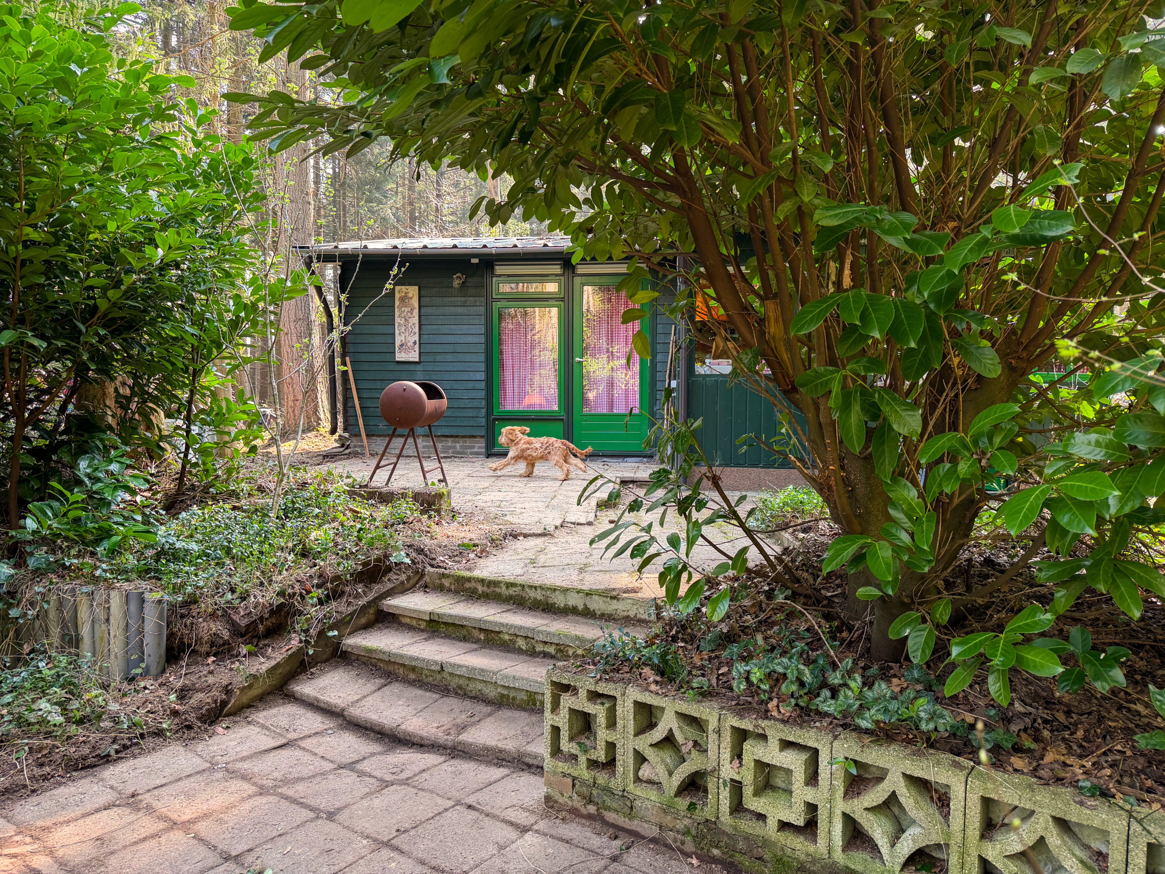 Natuurhuisje in Riethoven
