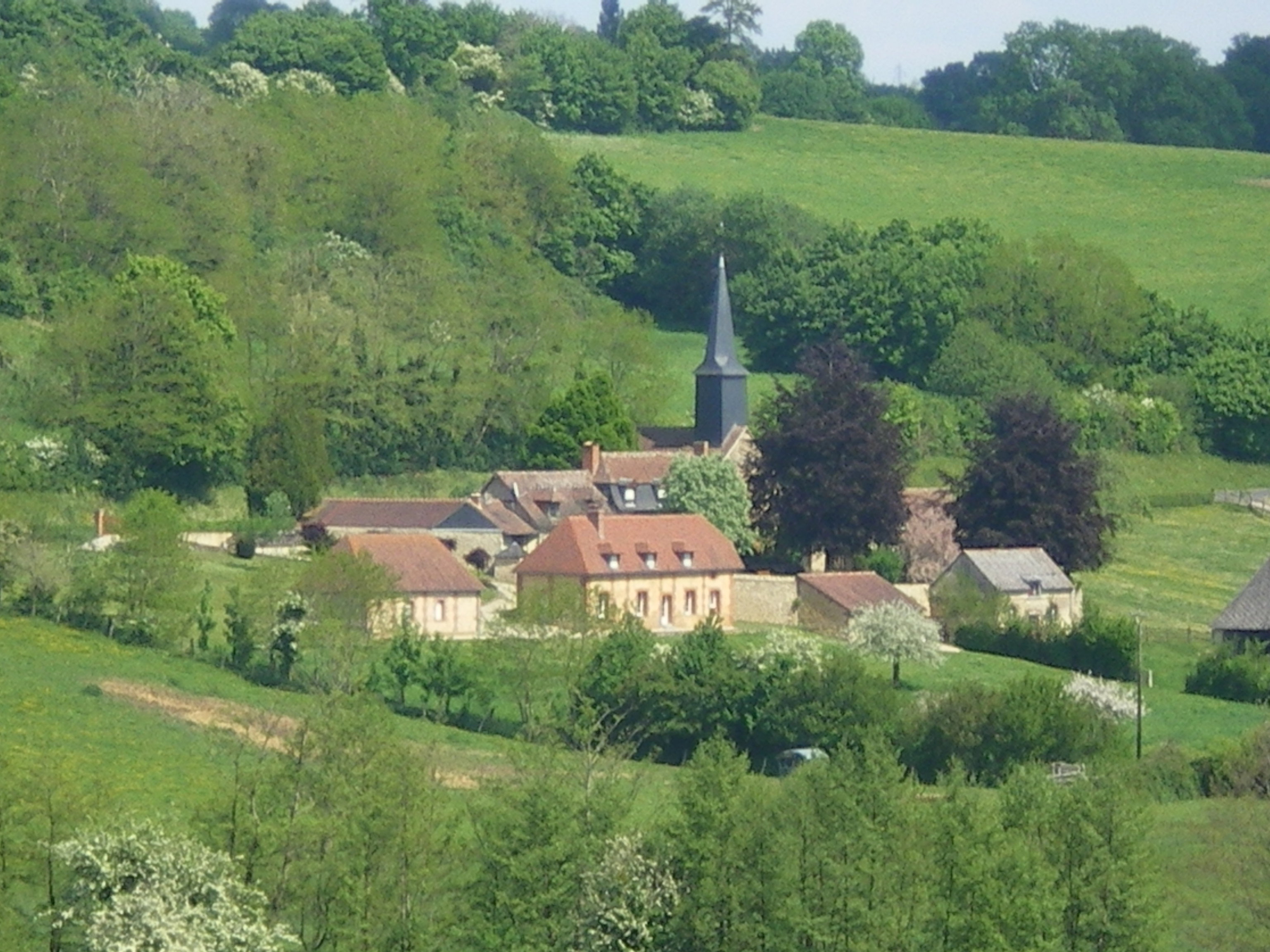 - image: 21