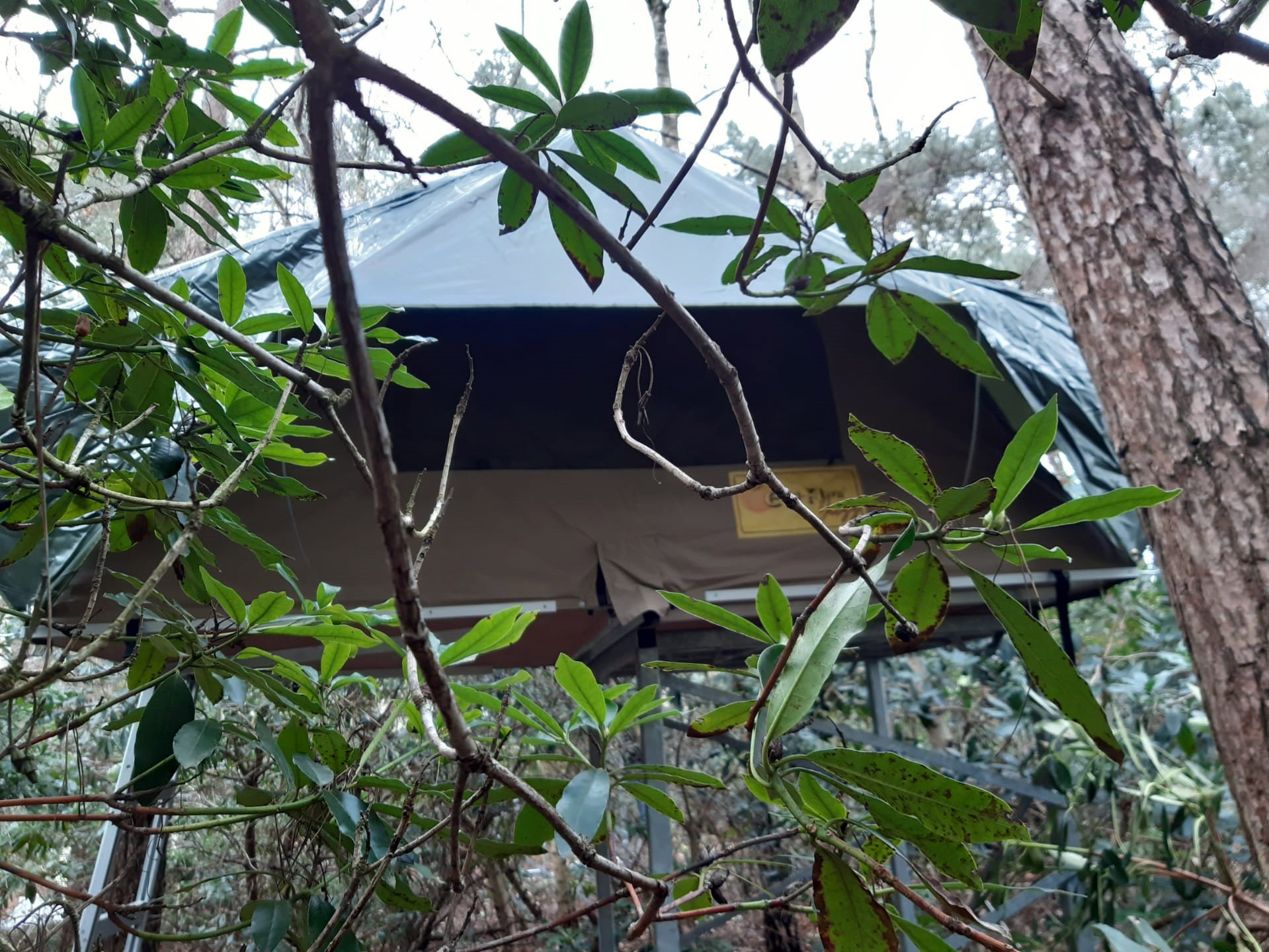 Natuurhuisje in Huijbergen