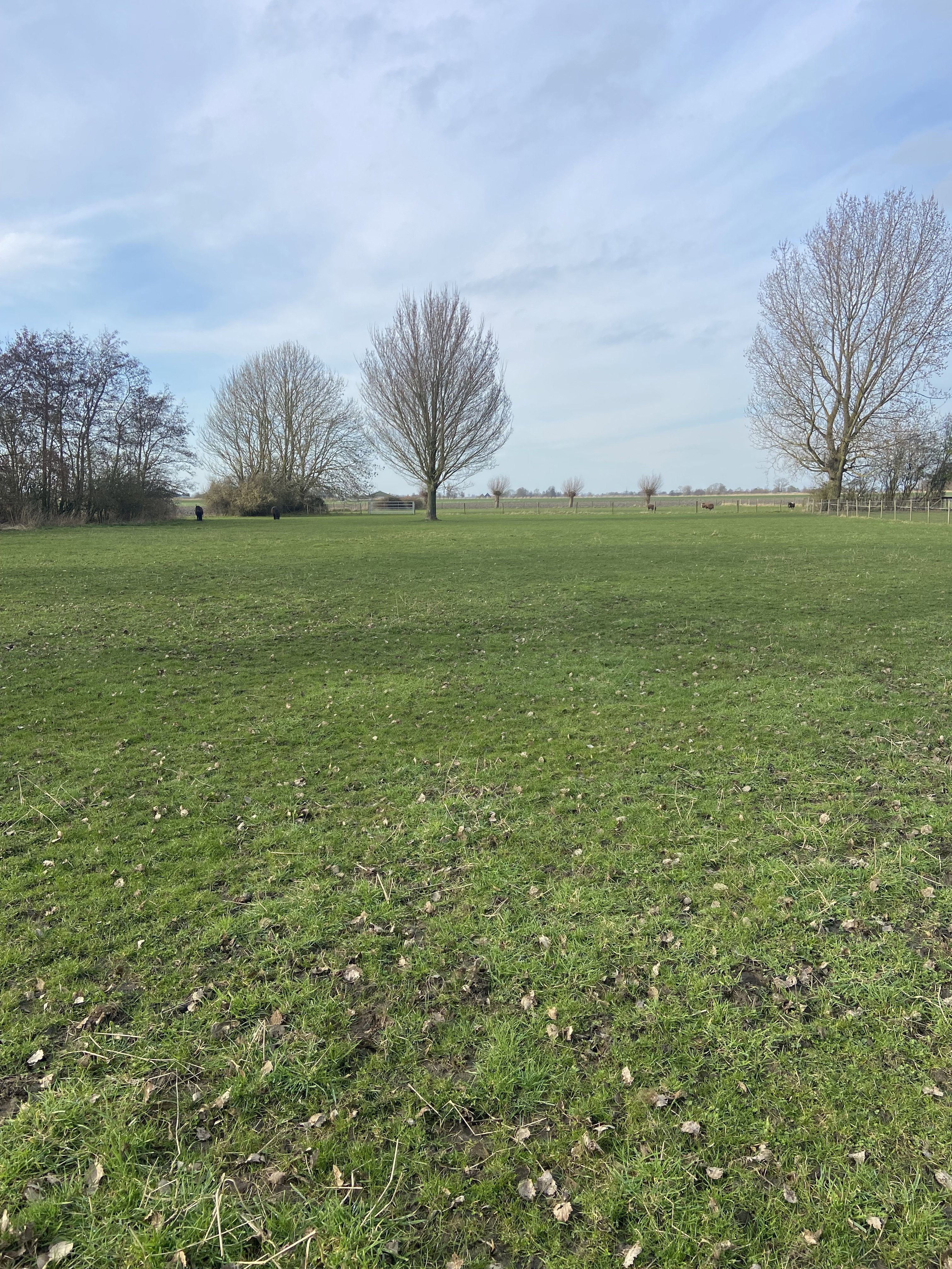 Naturhäuschen in Waarland