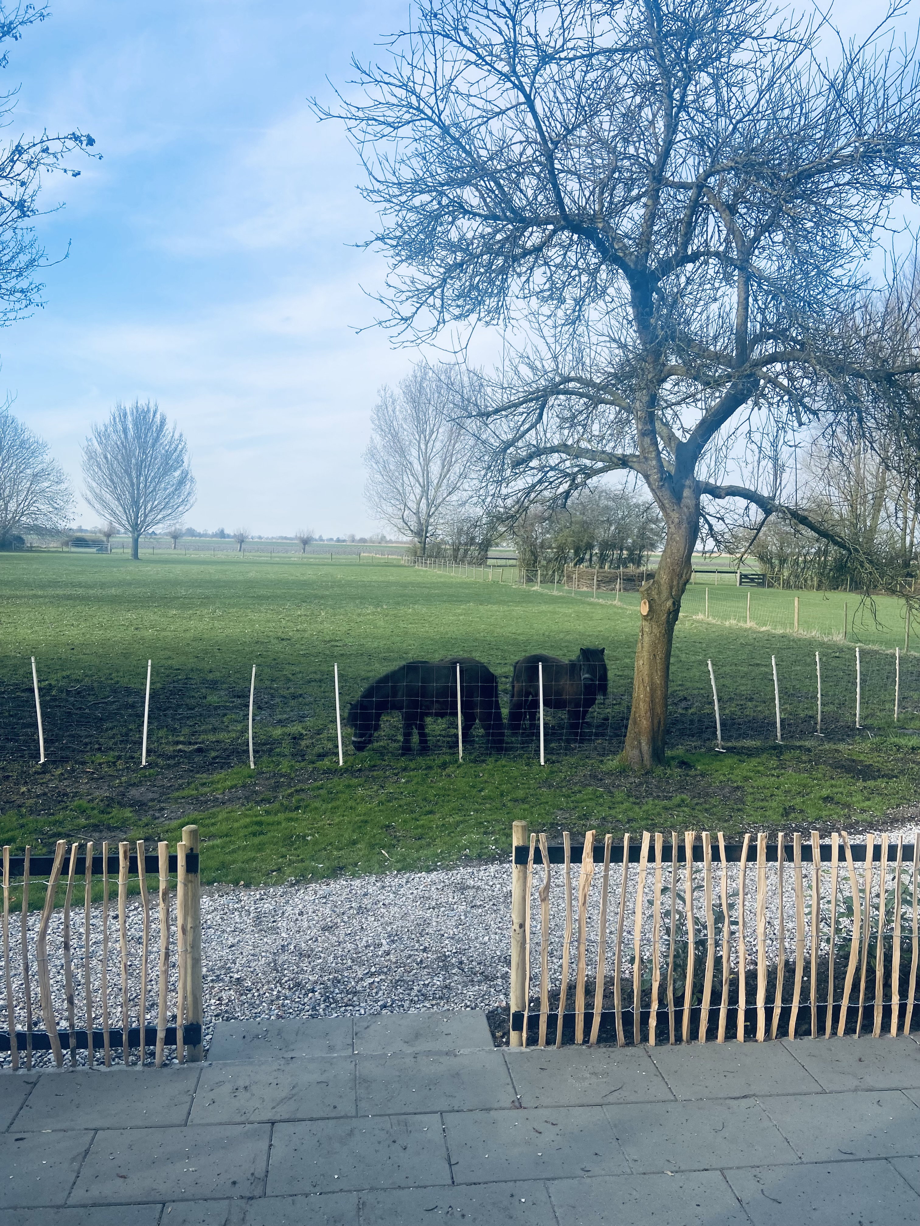 Naturhäuschen in Waarland