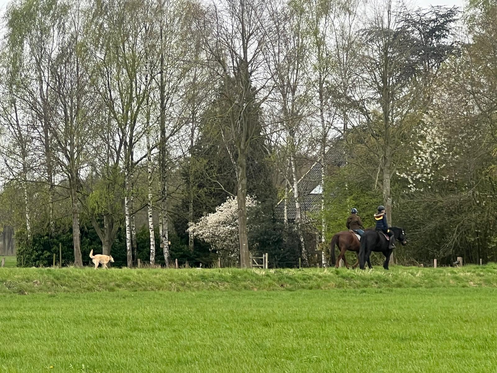 Naturhäuschen in Gelselaar