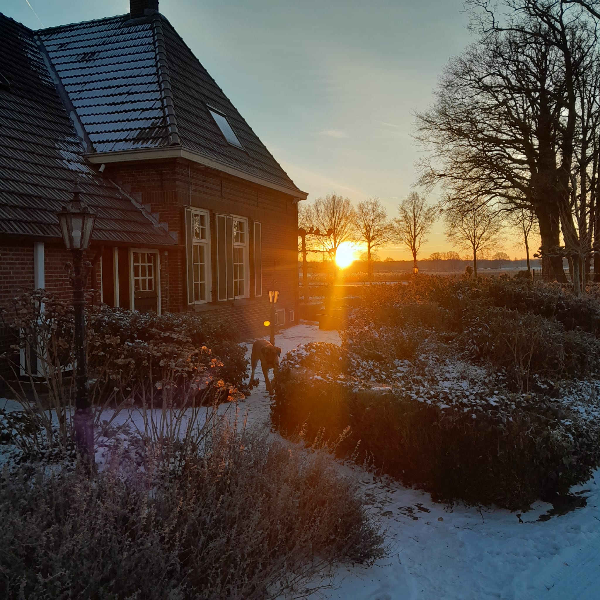 Naturhäuschen in Gelselaar