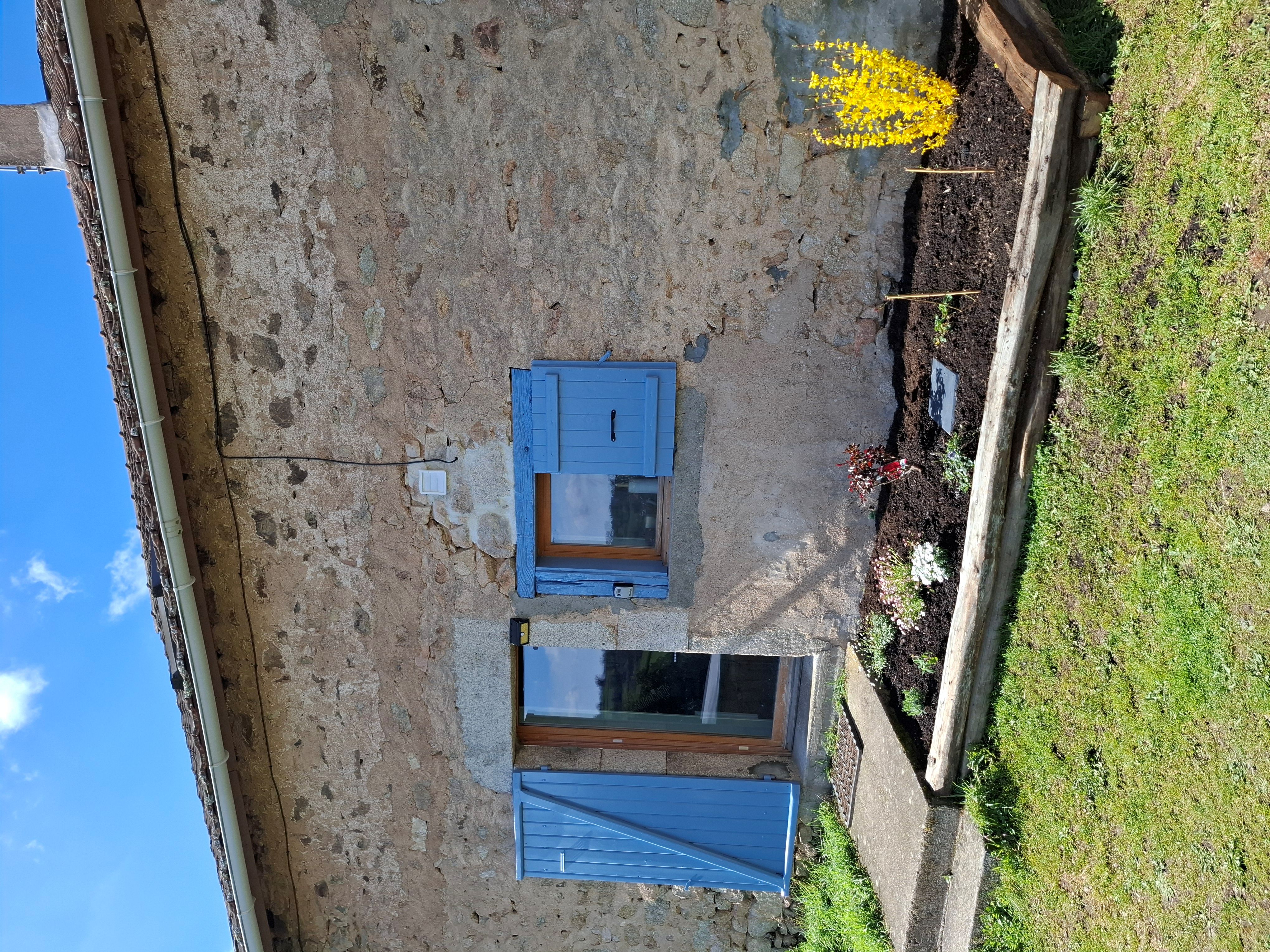 - image: 2