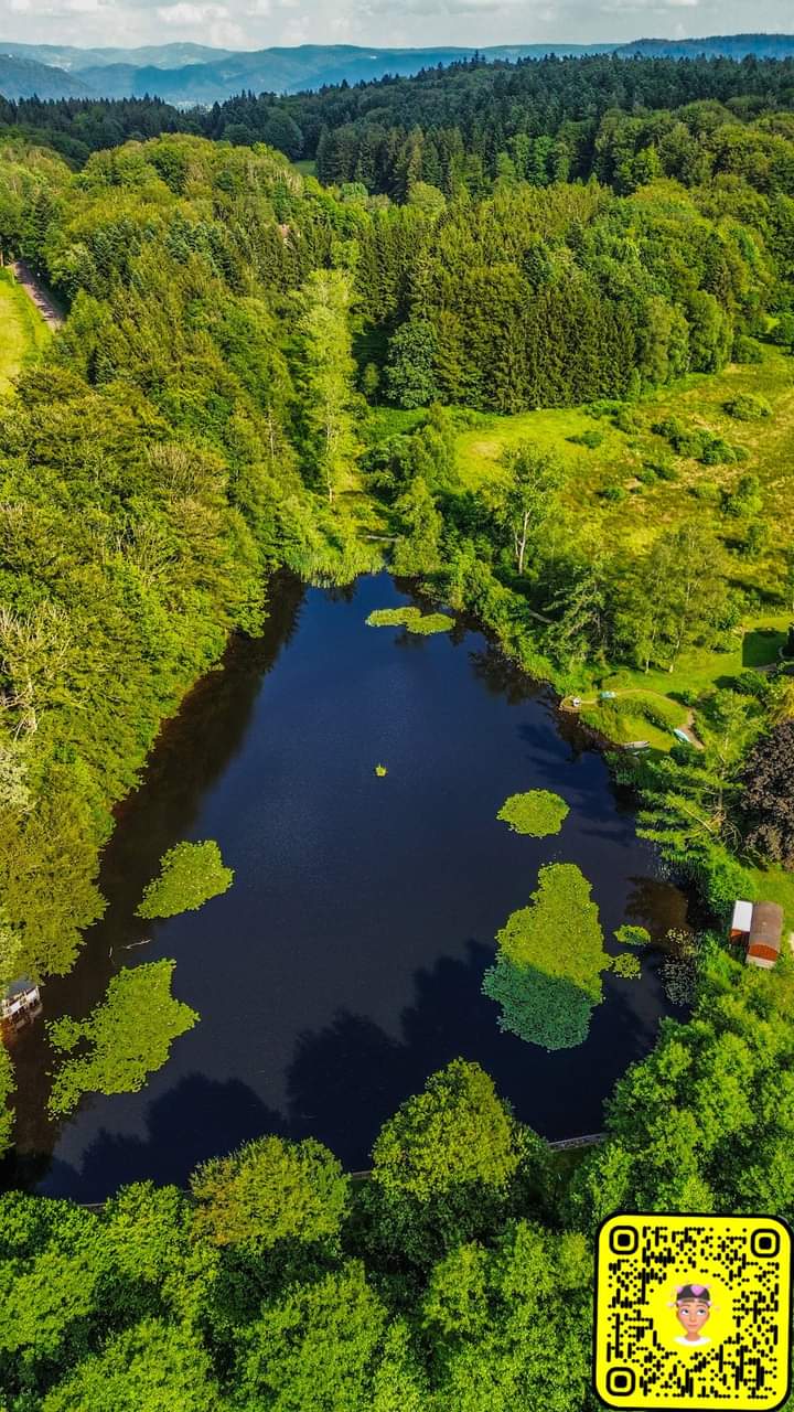 Casa nella natura a Saint-Nabord