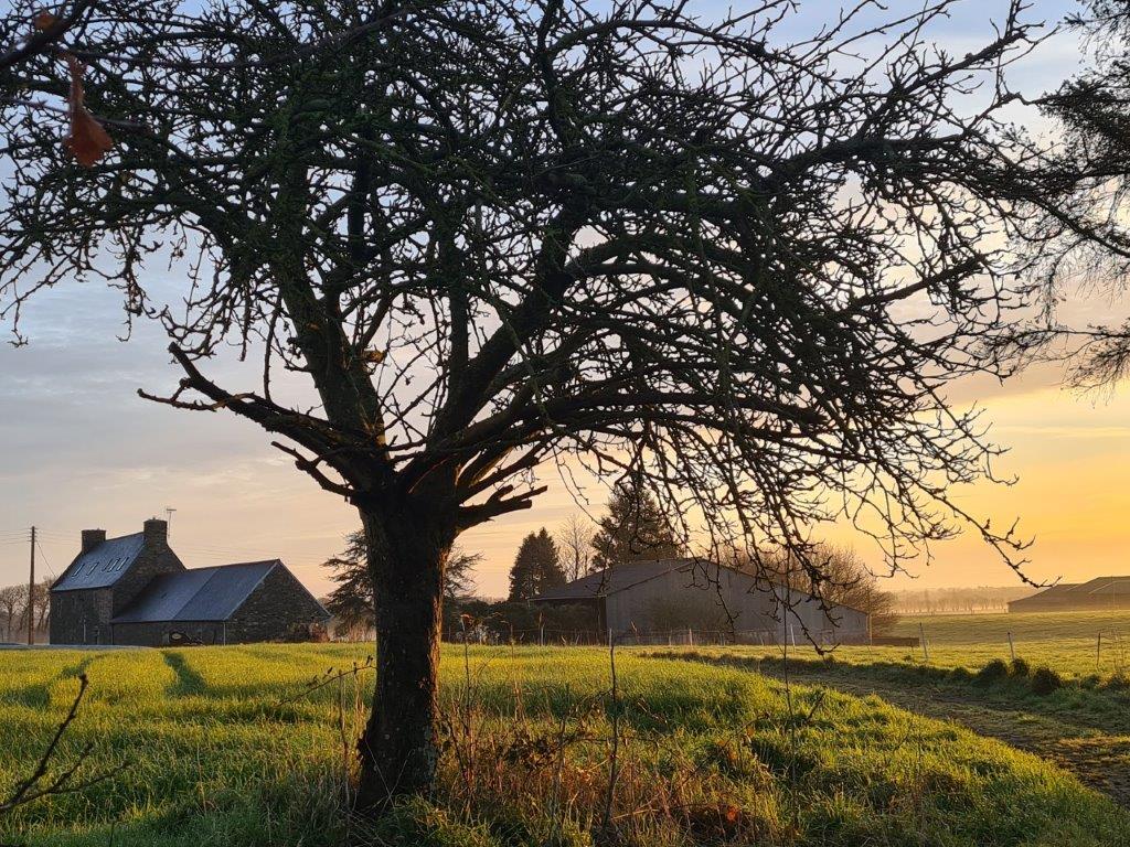 Natuurhuisje in LANMERIN