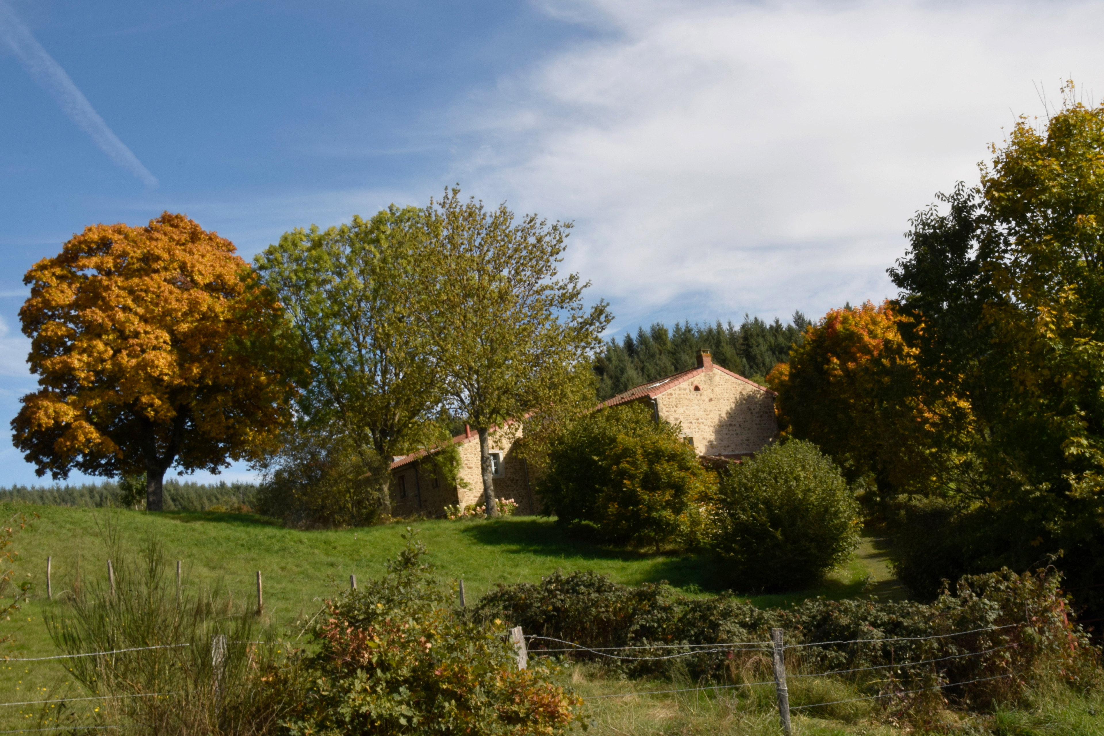 Natuurhuisje in Saint Genès la Tourette