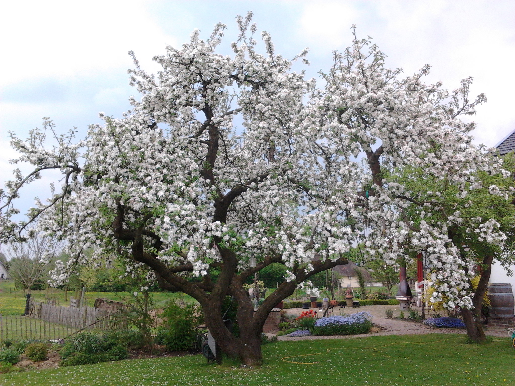 Casa nella natura a Herwen