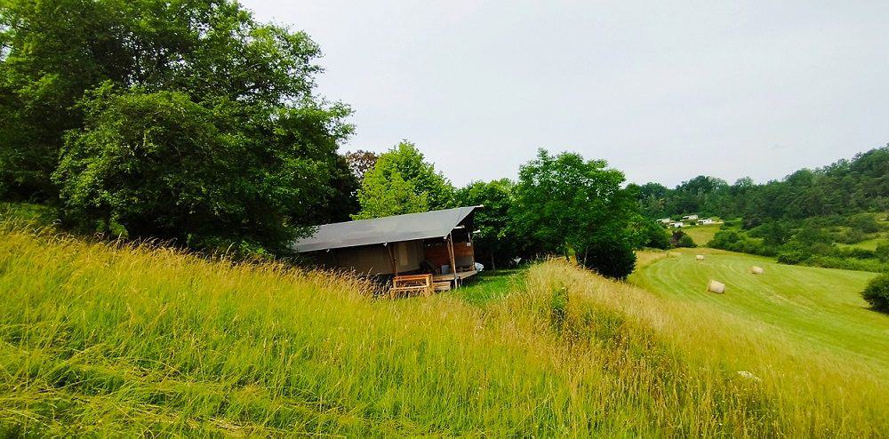 - image: 11