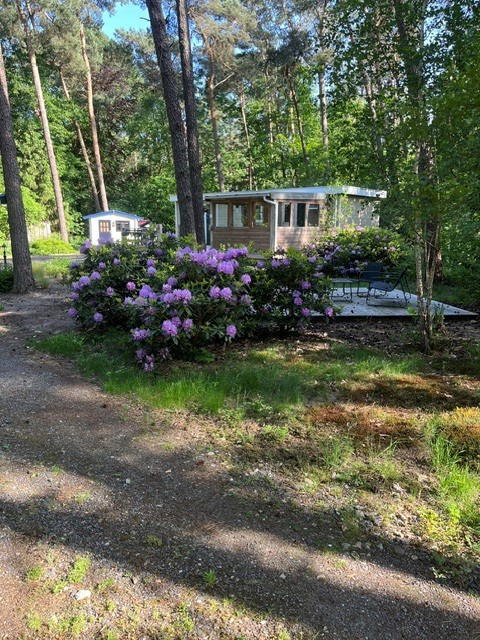 Nature house in Enschede