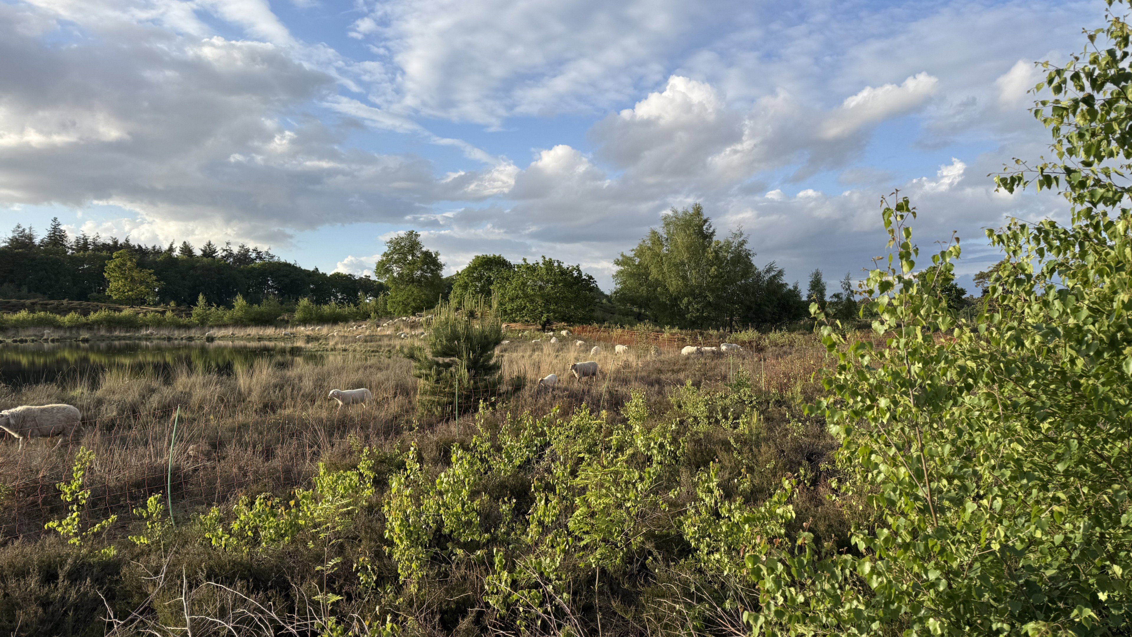 Nature house in Wijchen