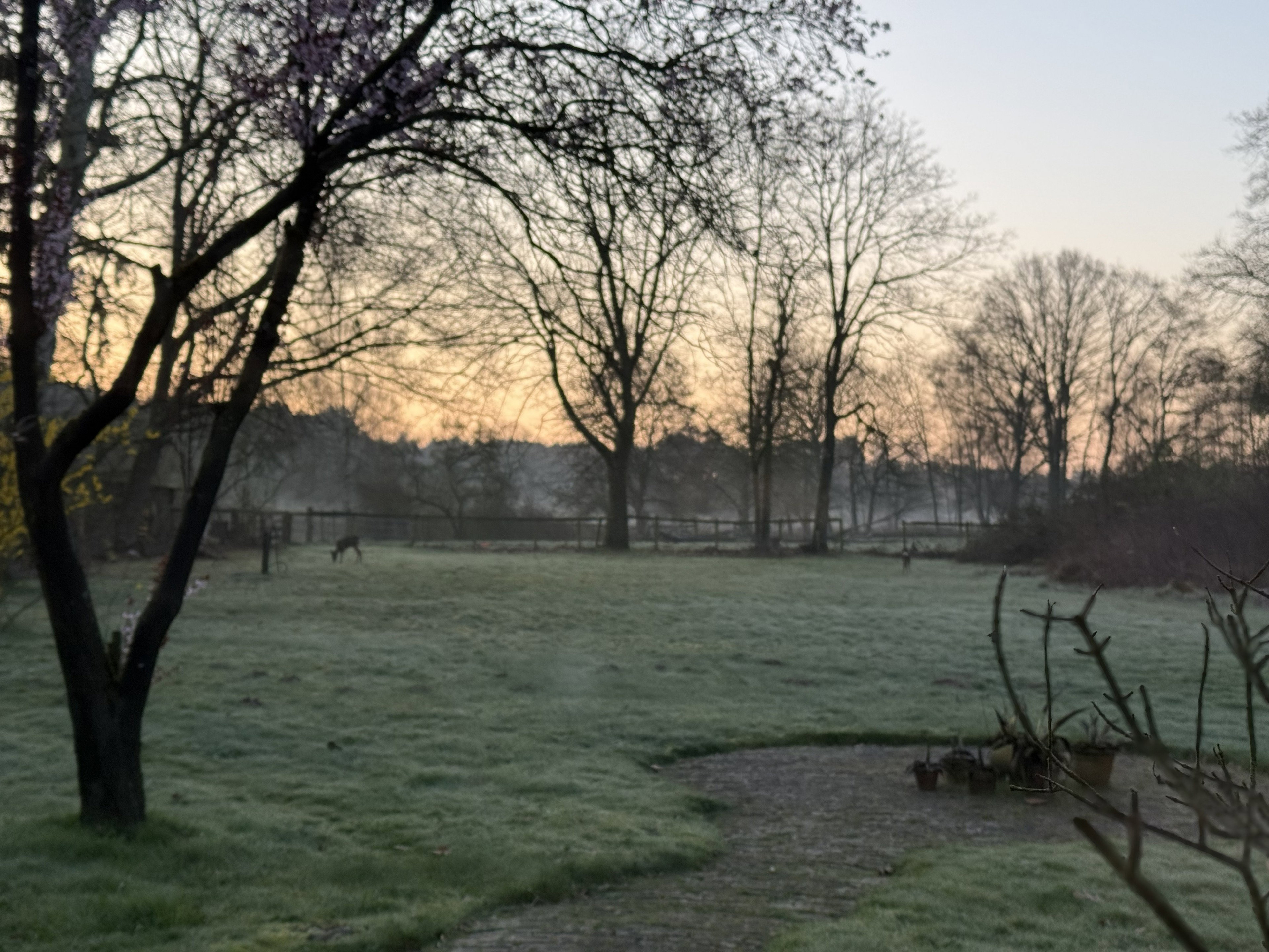 Nature house in Wijchen