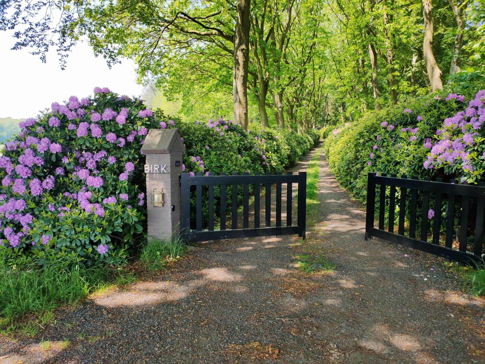 Natuurhuisje in Oudemirdum