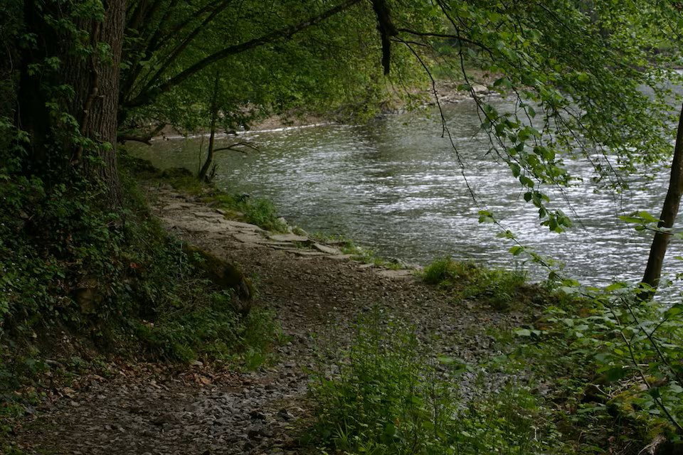 - image: 27