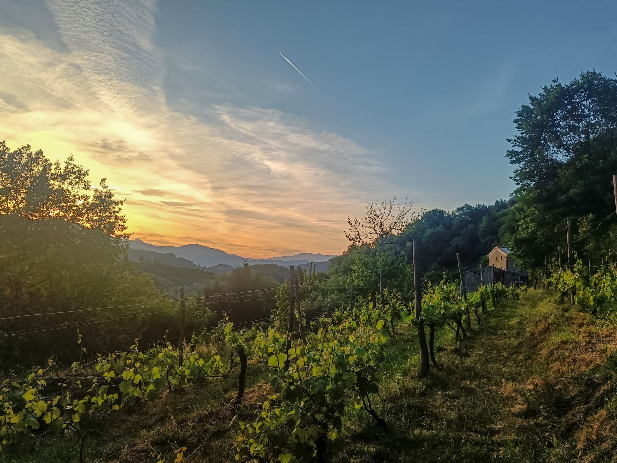 Natuurhuisje in Bagni di Lucca- Lugliano