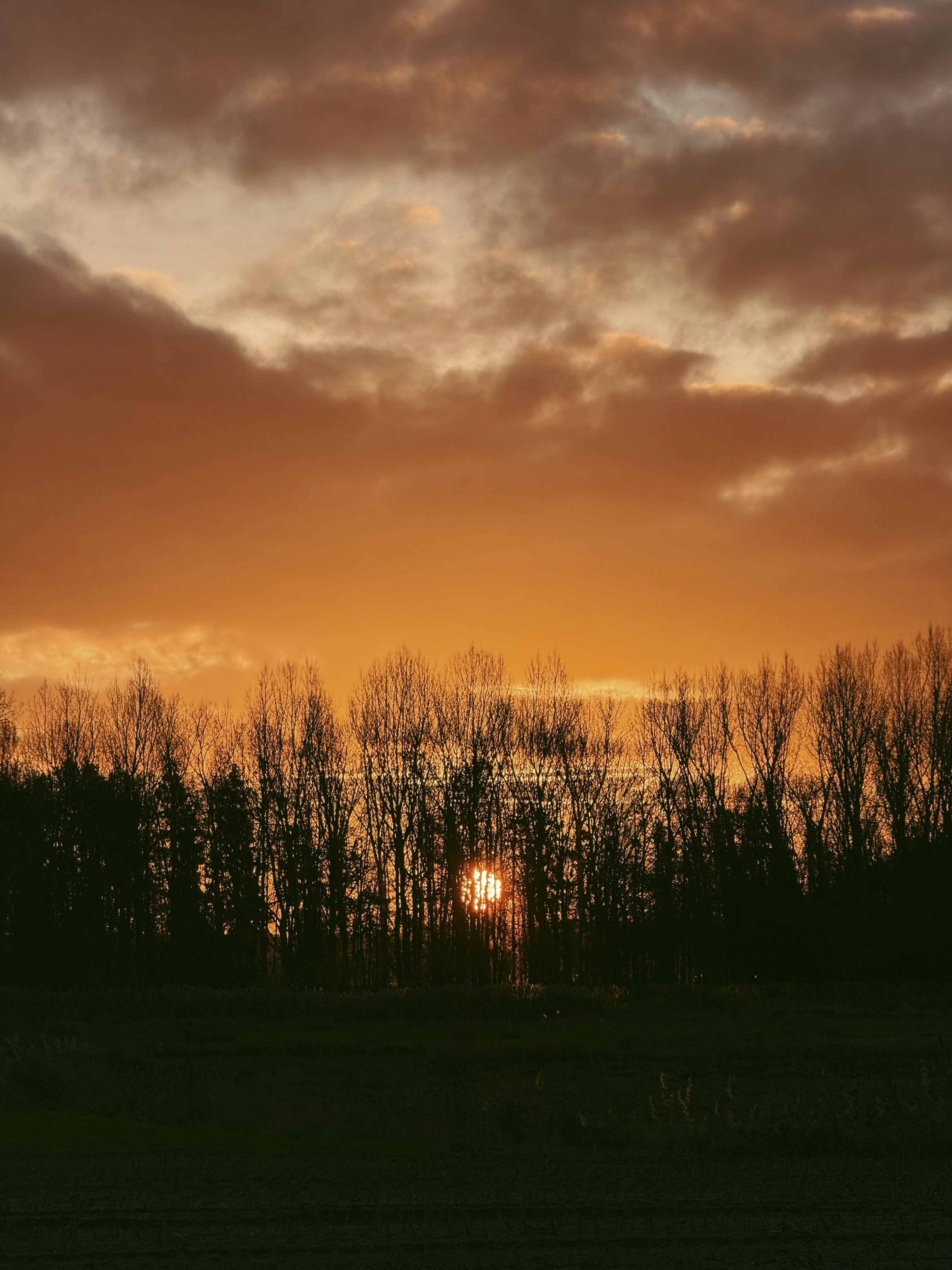 - image: 13