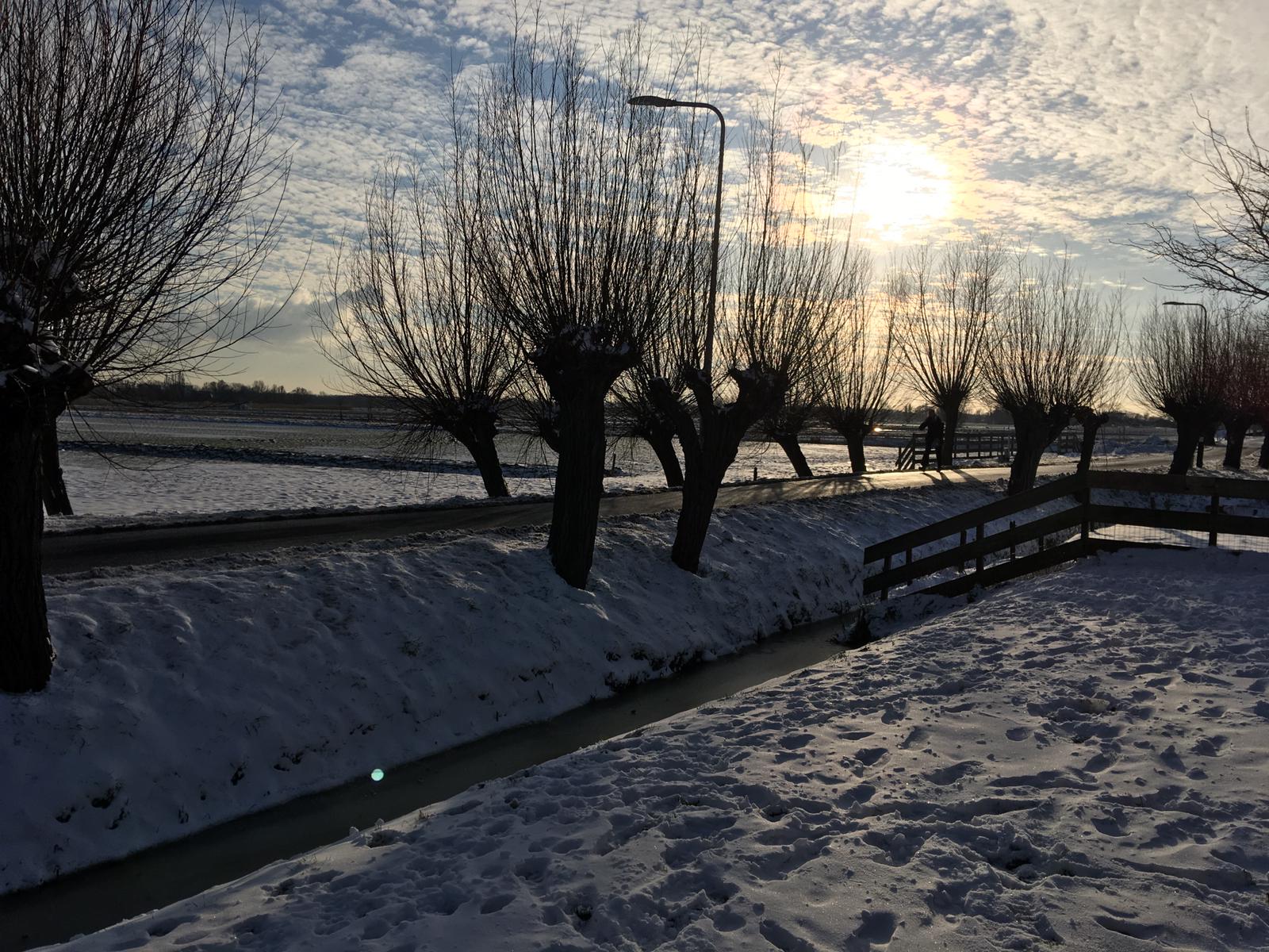 Natuurhuisje in Schipluiden