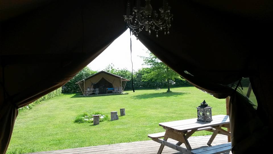- image: 12