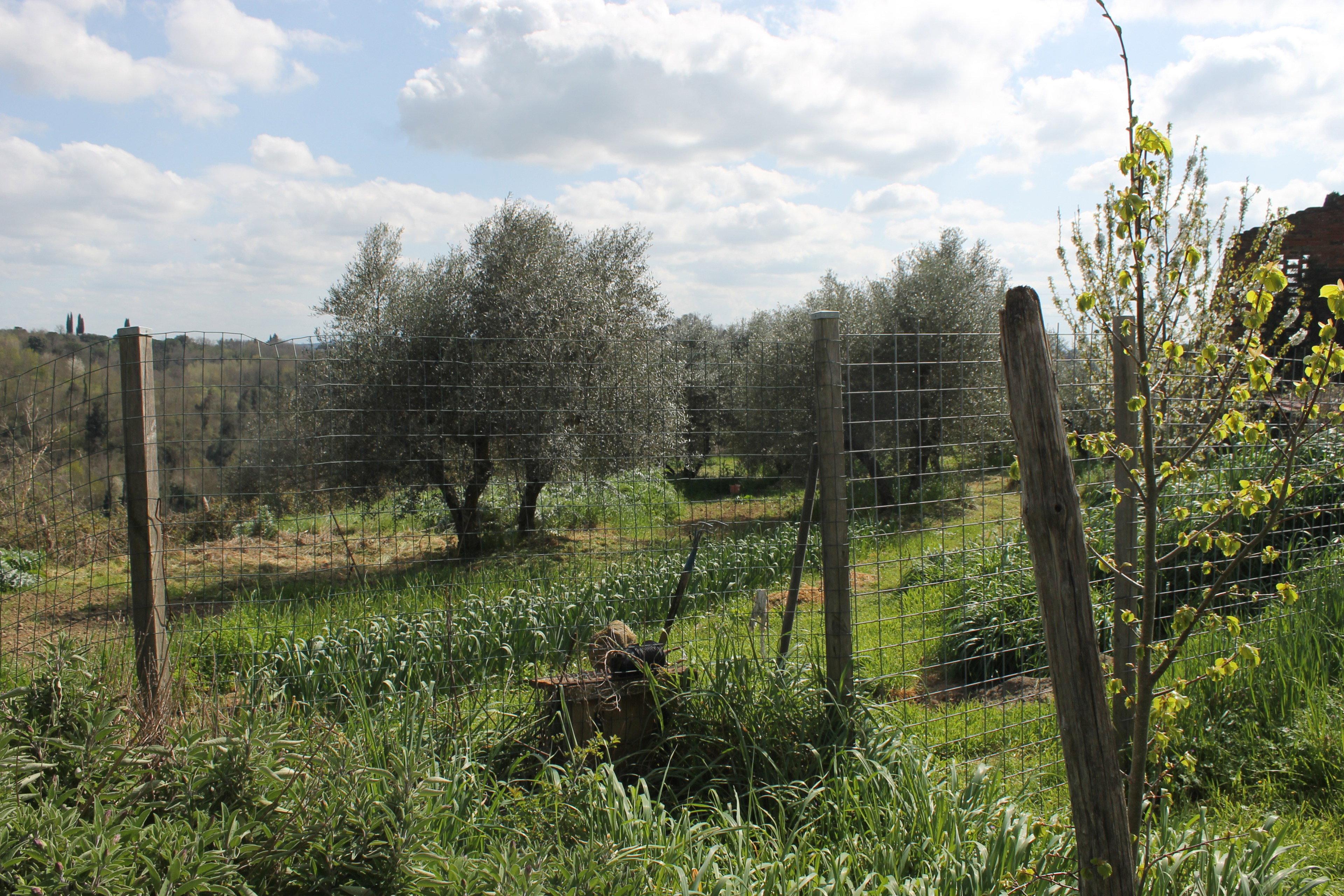 Casa nella natura a Castelnuovo Berardenga