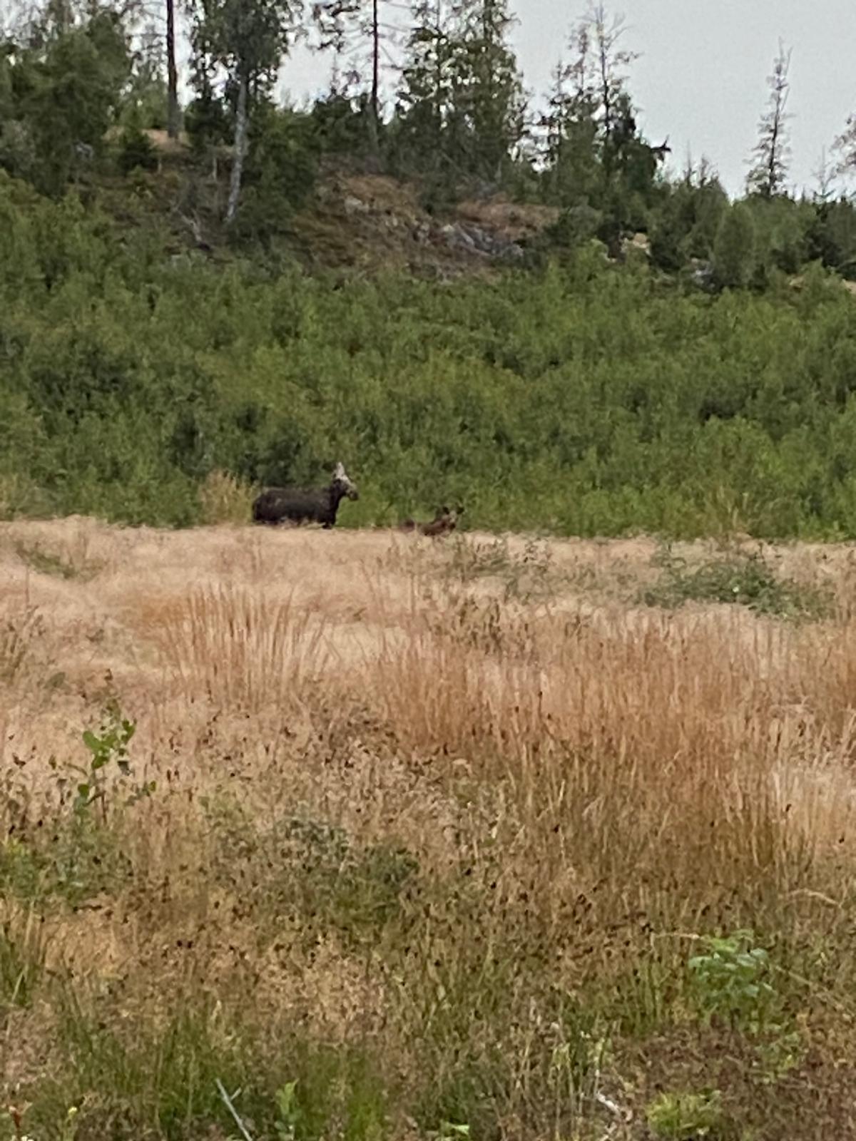 - image: 55