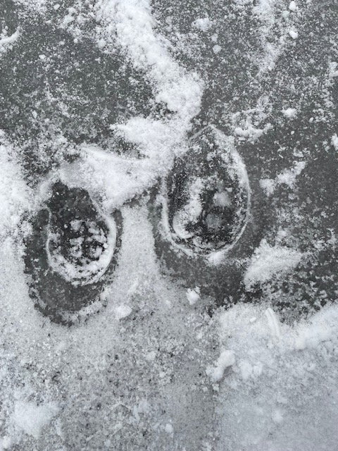 - image: 44