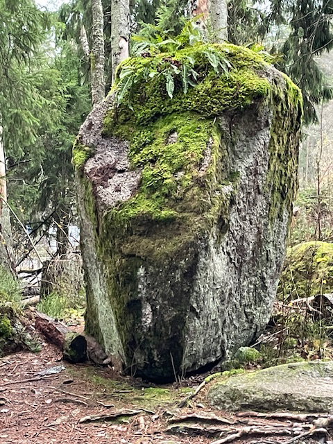 - image: 51