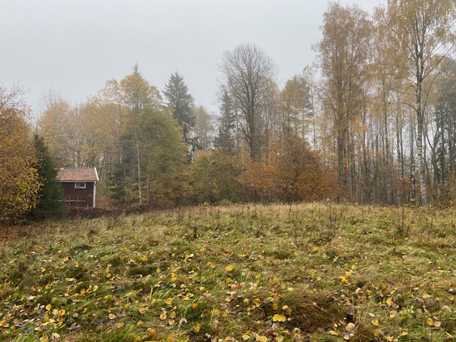 - image: 21