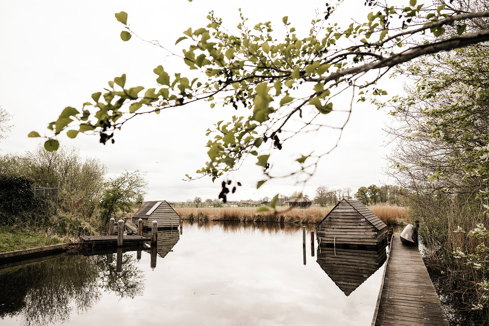 Casa nella natura a Weesp