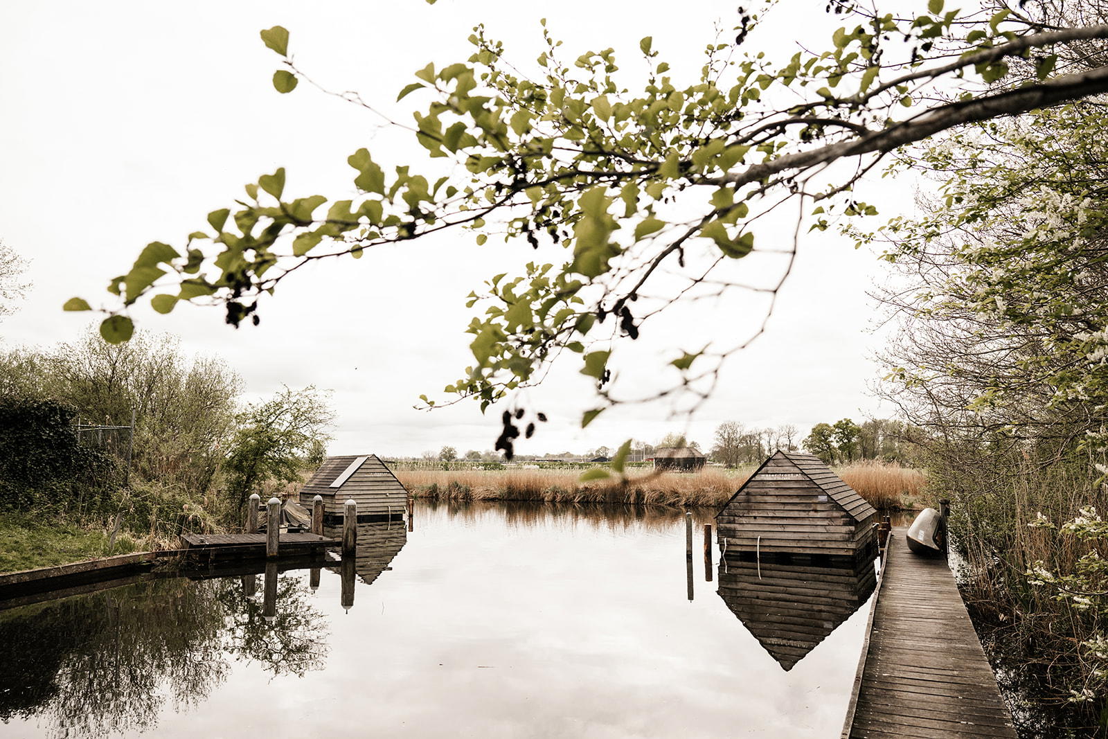 Nature house in Weesp